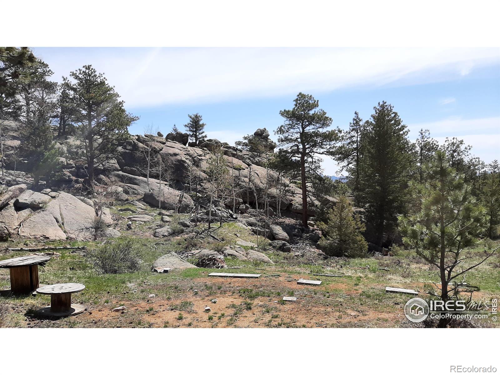 102 Mount Princeton Court Livermore CO 80536