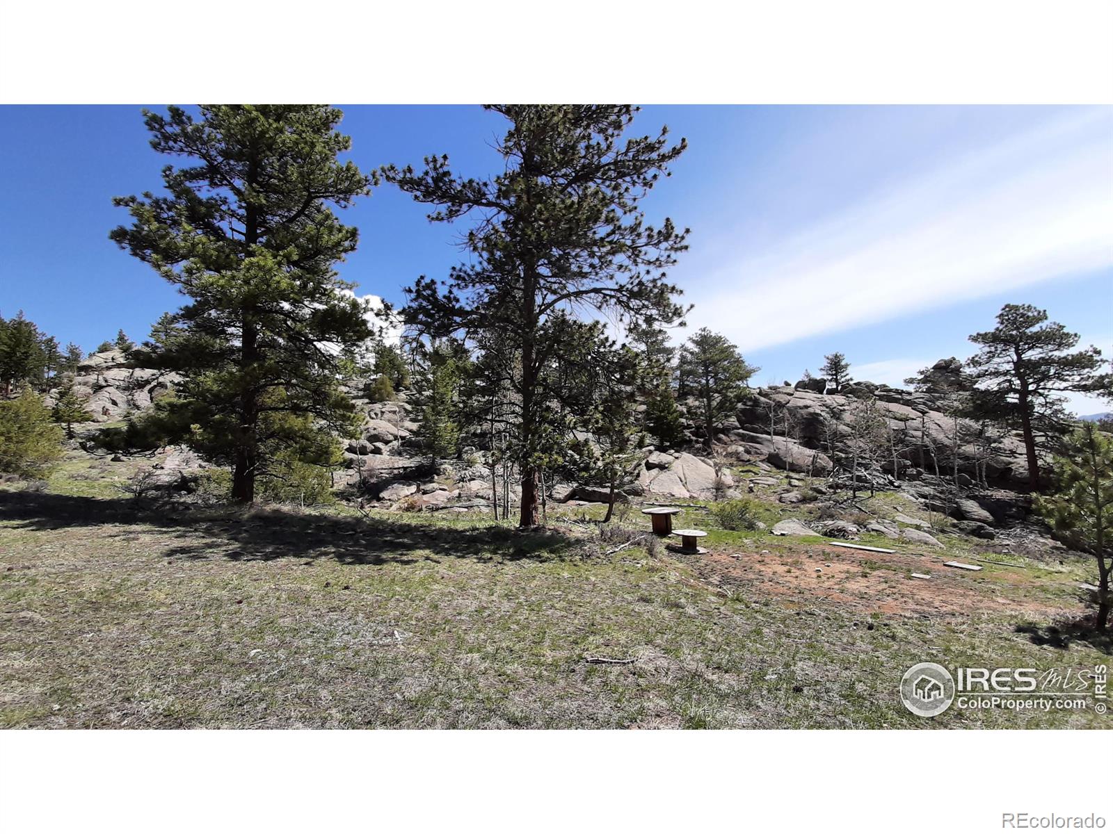102 Mount Princeton Court Livermore CO 80536