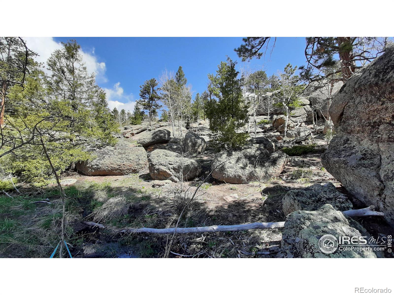 102 Mount Princeton Court Livermore CO 80536