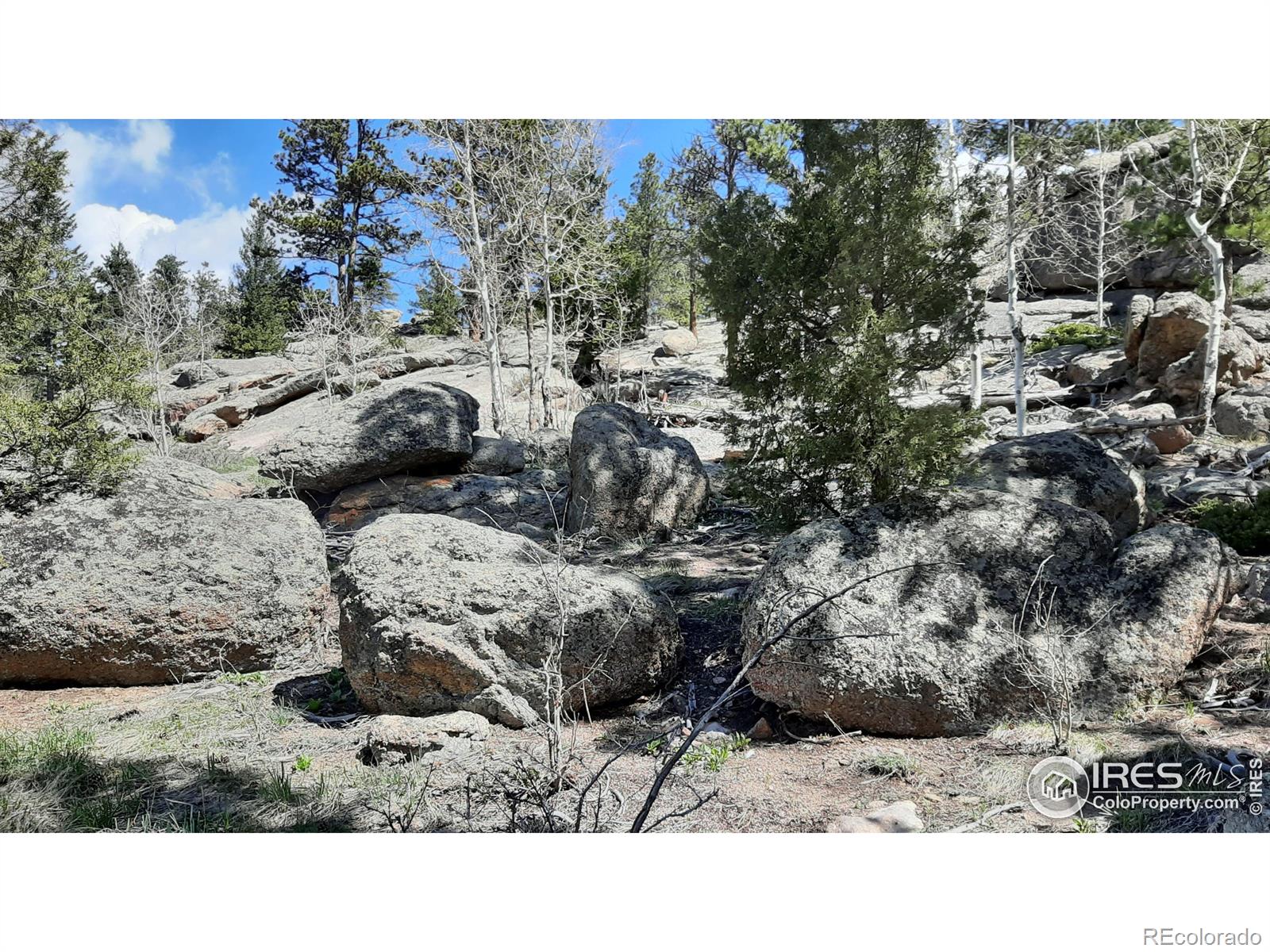 102 Mount Princeton Court Livermore CO 80536