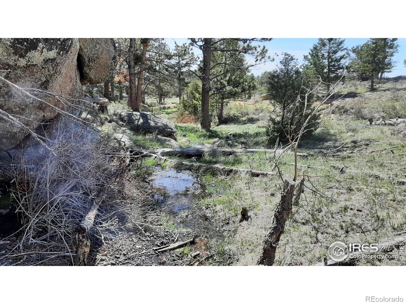 102 Mount Princeton Court Livermore CO 80536
