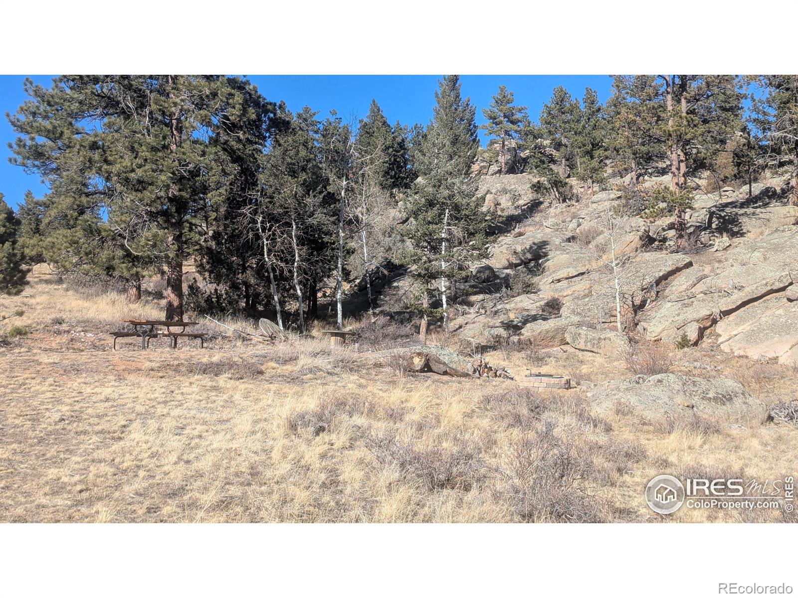 102 Mount Princeton Court Livermore CO 80536