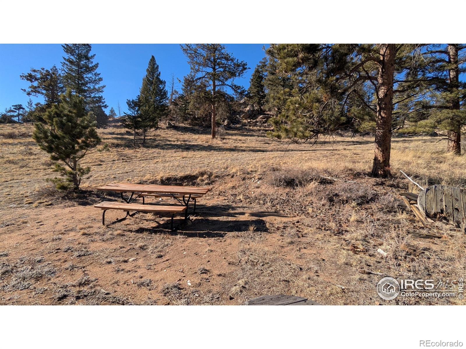 102 Mount Princeton Court Livermore CO 80536