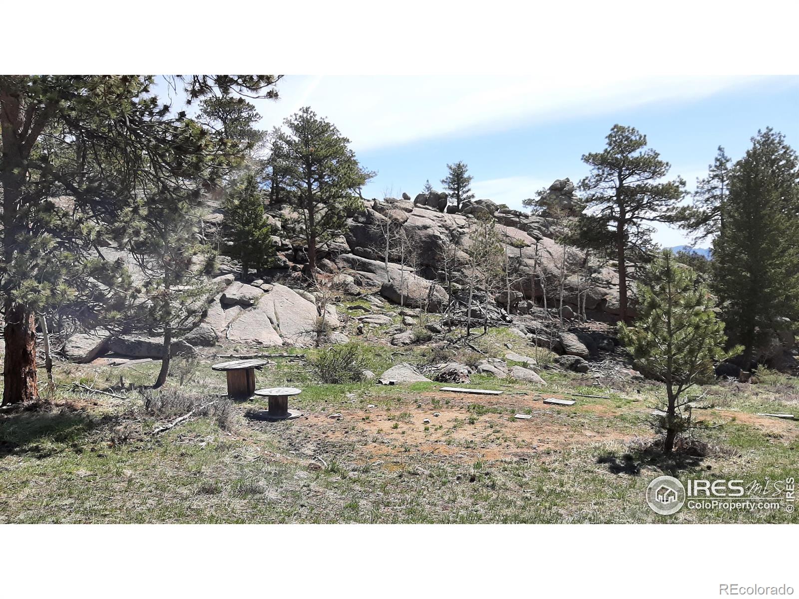 102 Mount Princeton Court Livermore CO 80536