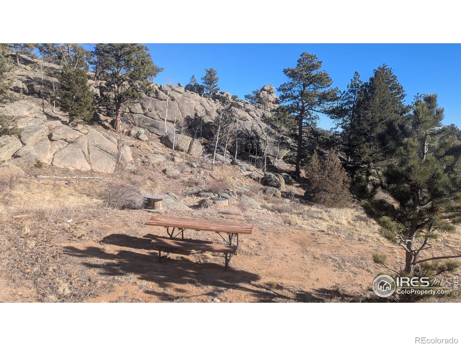 102 Mount Princeton Court Livermore CO 80536