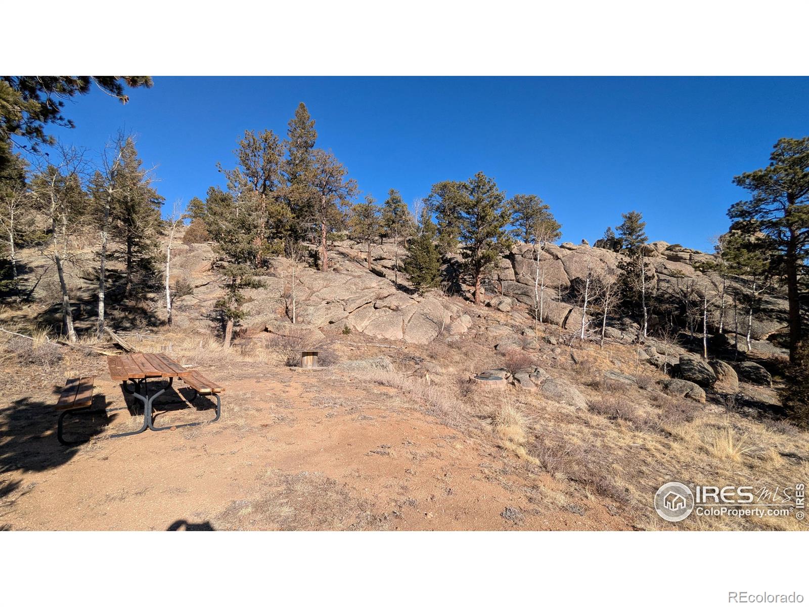 102 Mount Princeton Court Livermore CO 80536
