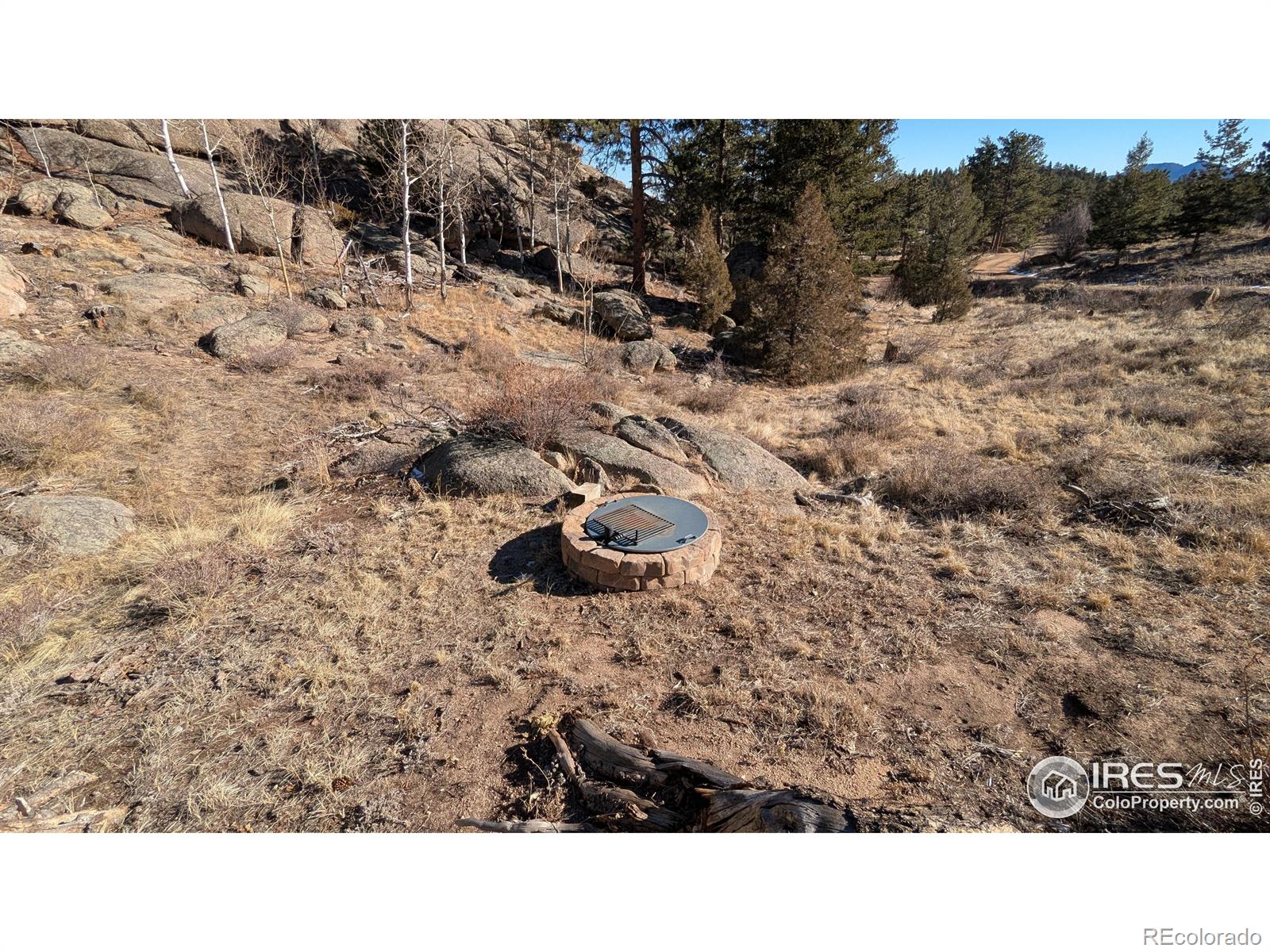 102 Mount Princeton Court Livermore CO 80536