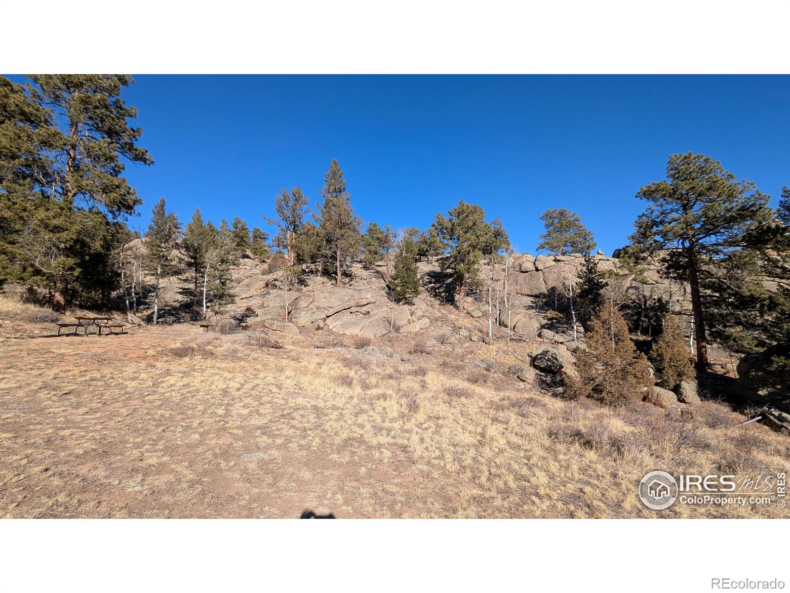 102 Mount Princeton Court Livermore CO 80536