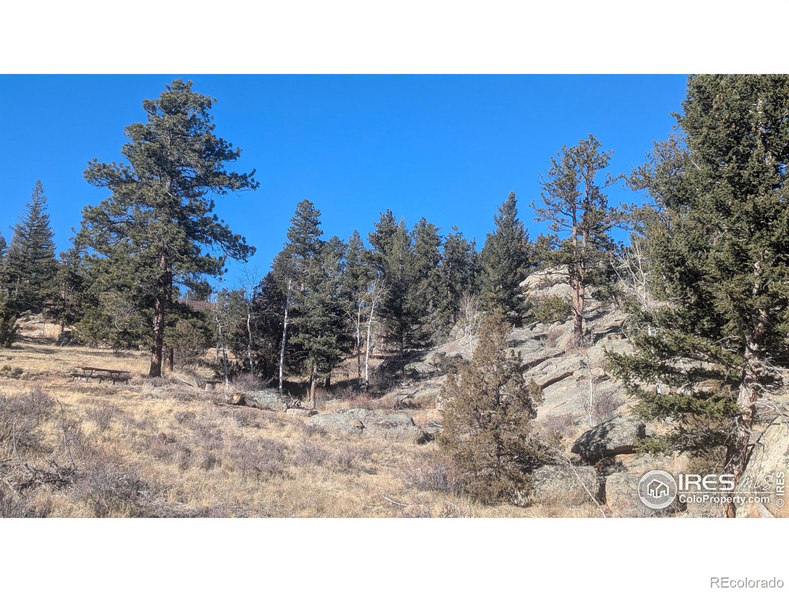102 Mount Princeton Court Livermore CO 80536