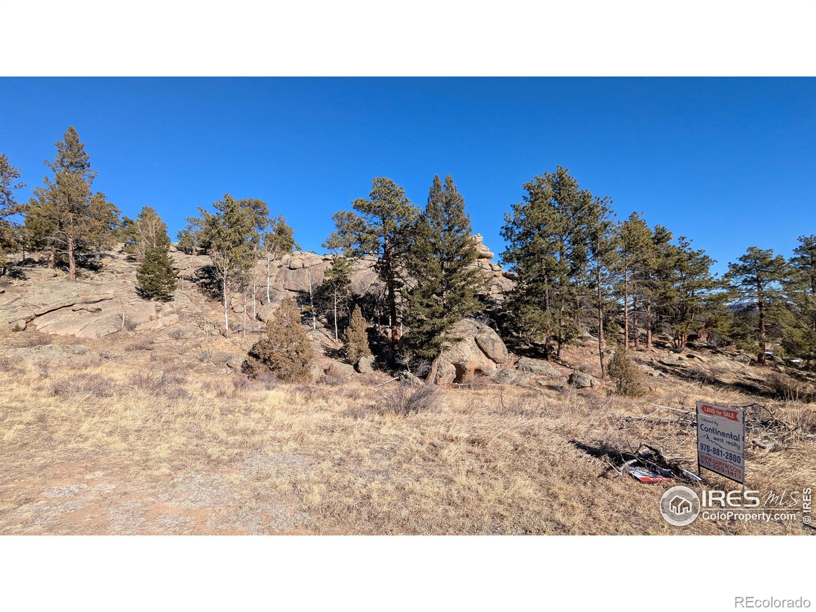 102 Mount Princeton Court Livermore CO 80536