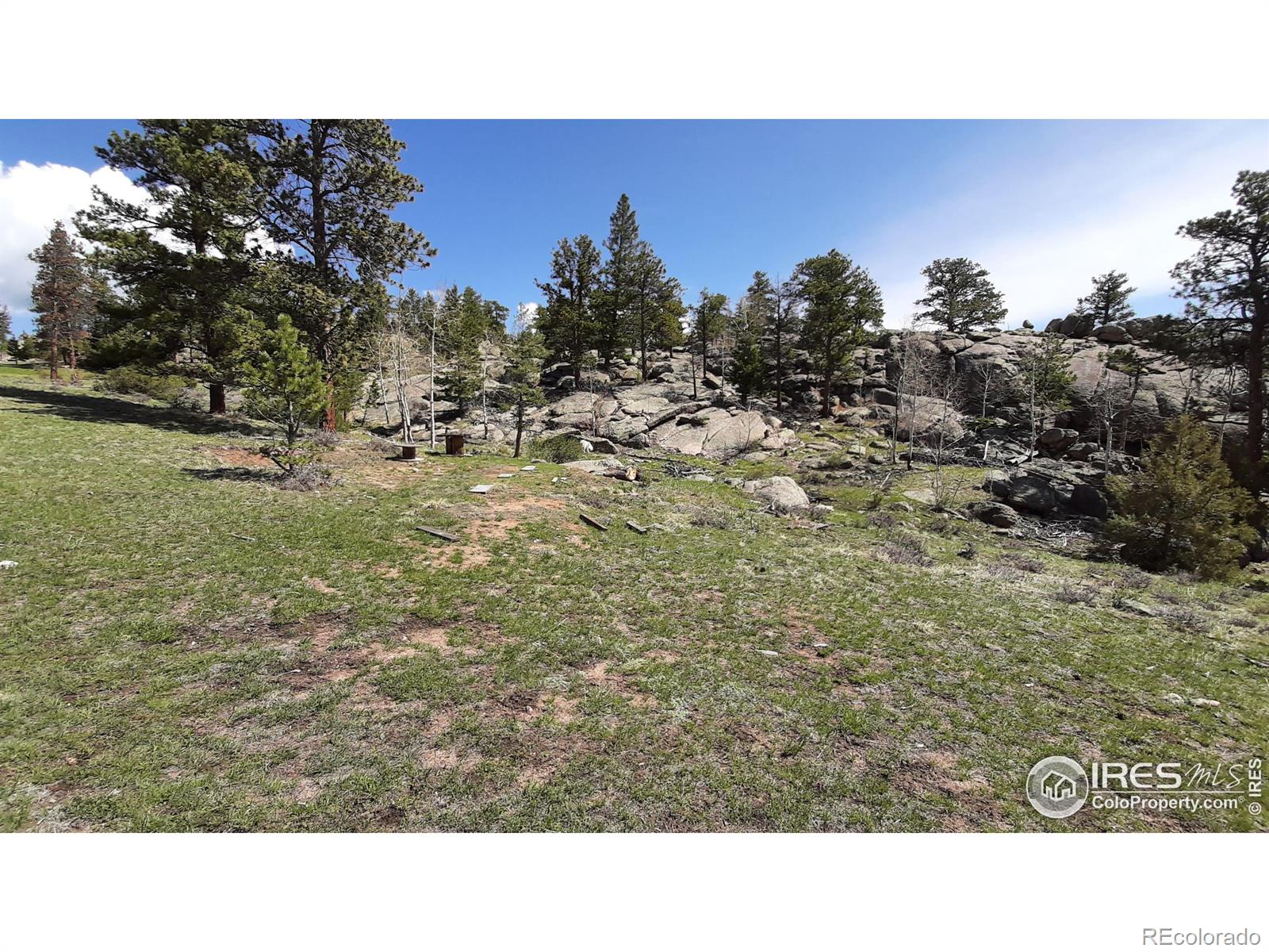 102 Mount Princeton Court Livermore CO 80536