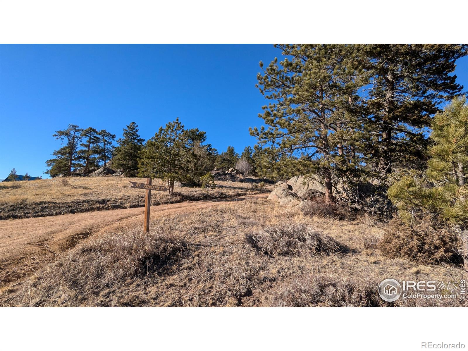 102 Mount Princeton Court Livermore CO 80536