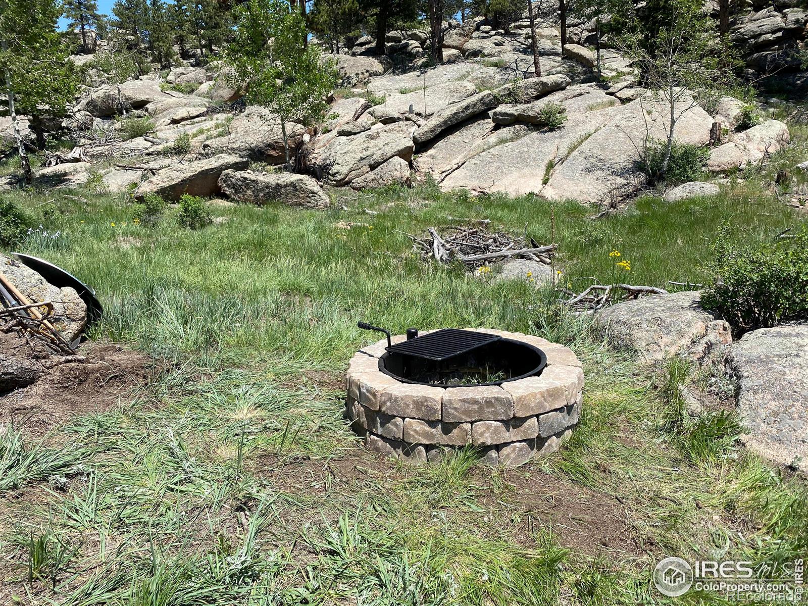 102 Mount Princeton Court Livermore CO 80536