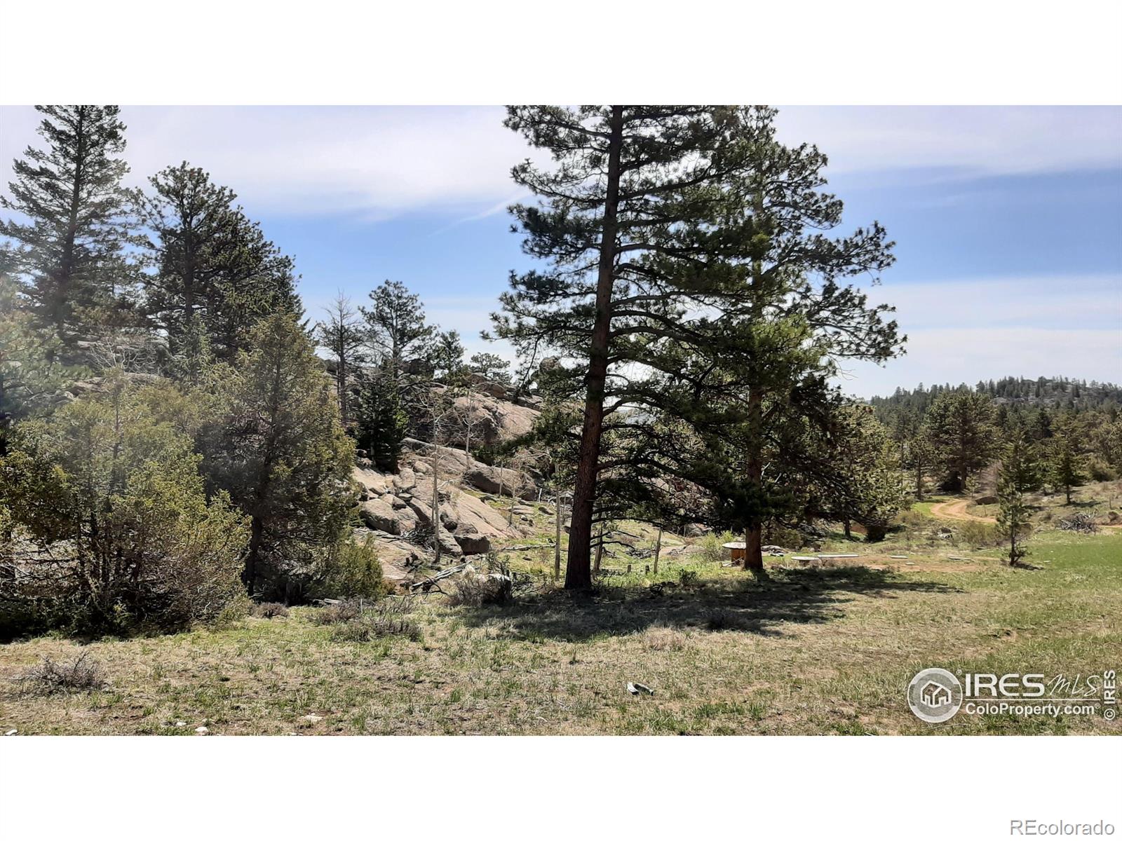 102 Mount Princeton Court Livermore CO 80536