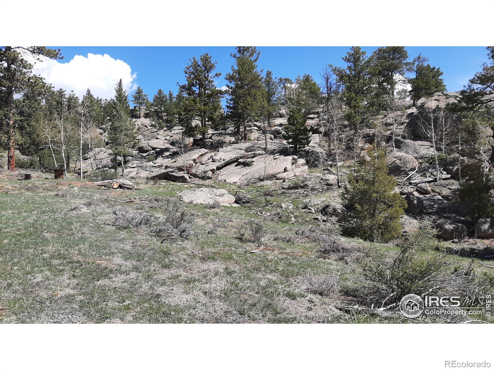 102 Mount Princeton Court Livermore CO 80536