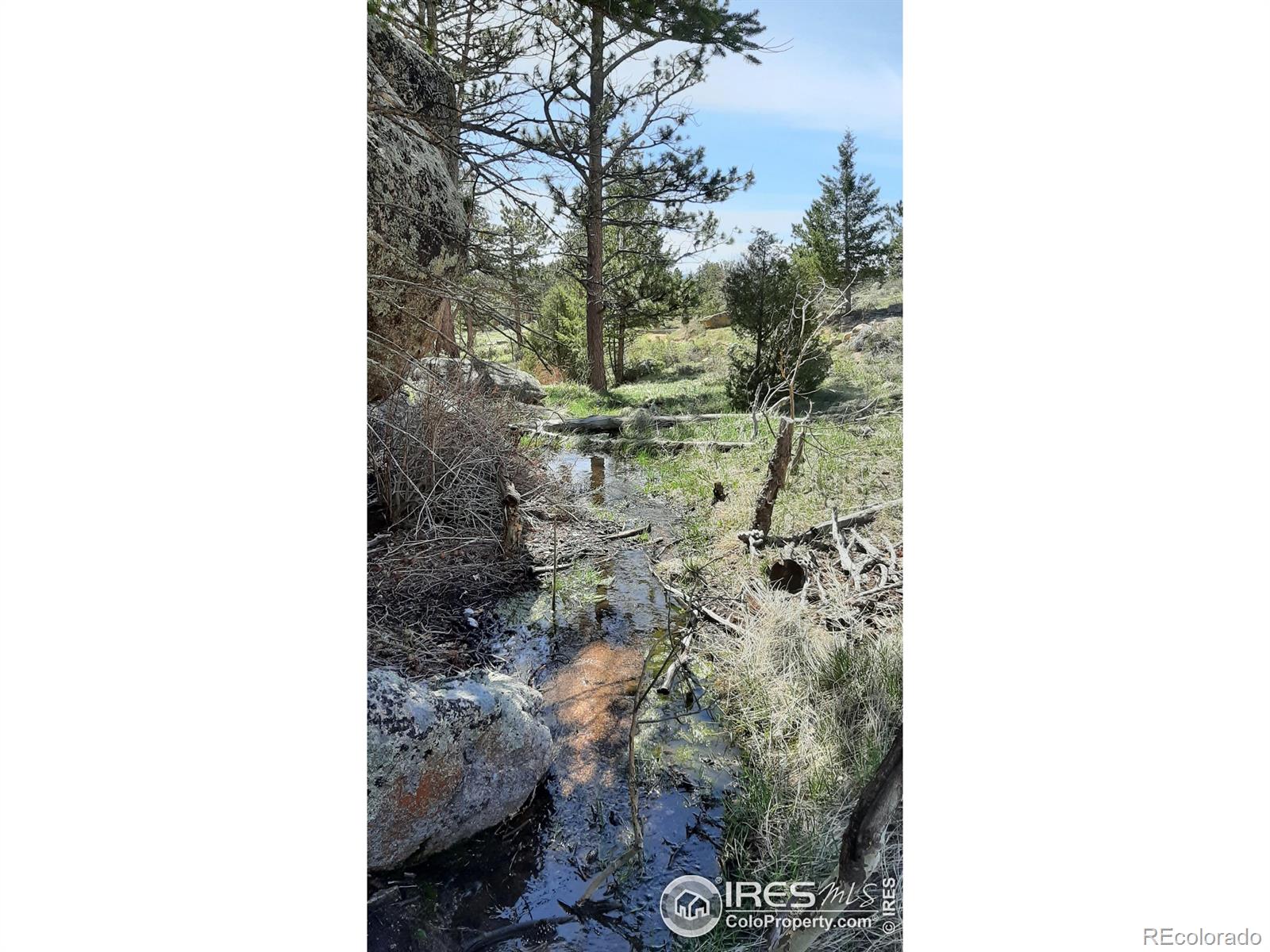 102 Mount Princeton Court Livermore CO 80536