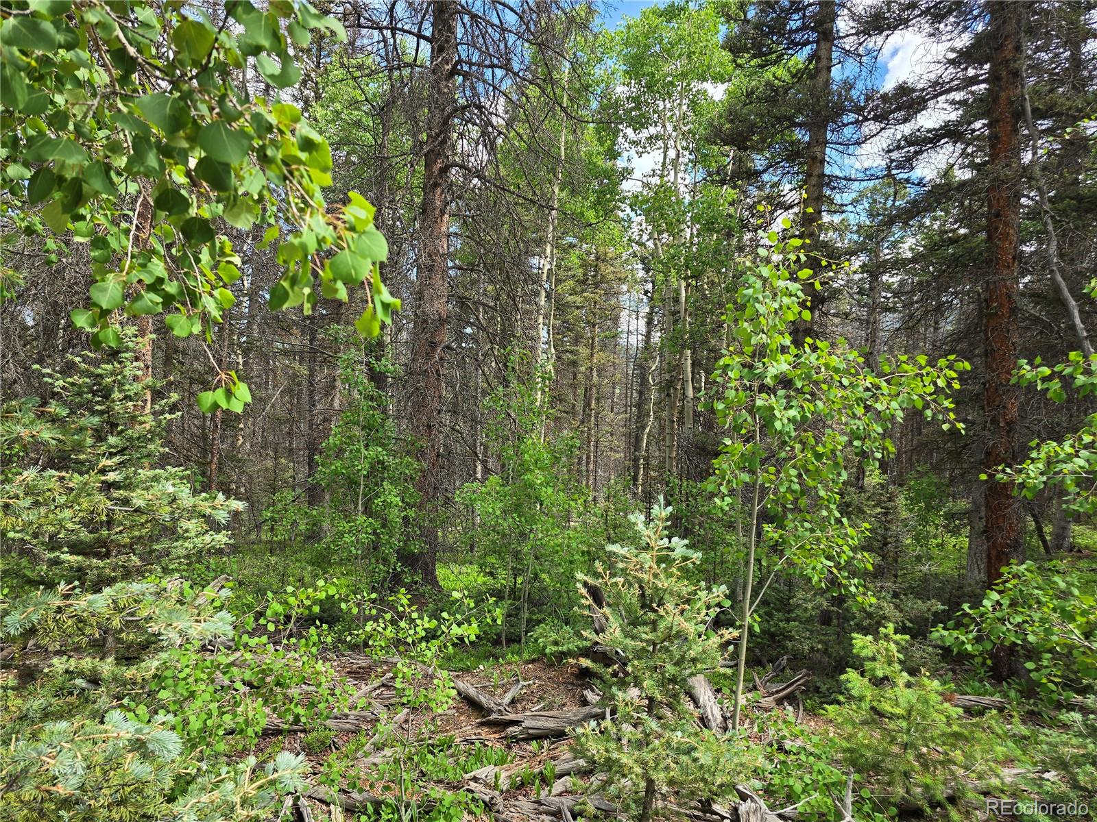 6656 Alden Road Fort Garland CO 81133