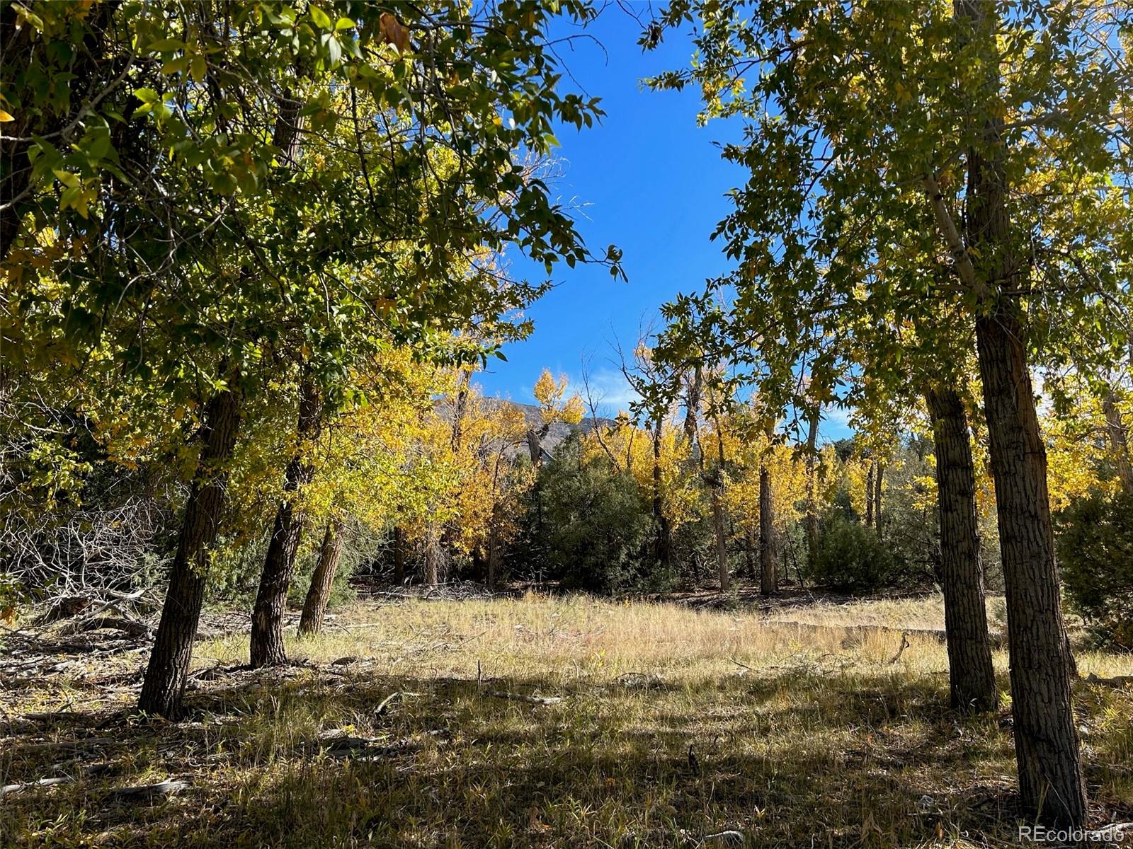 124 Indian Hill Road Mosca CO 81146