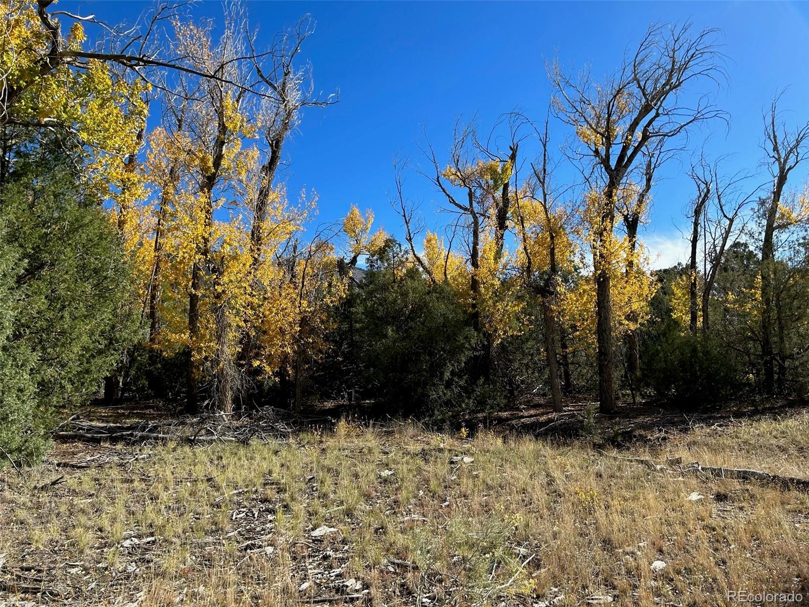 124 Indian Hill Road Mosca CO 81146