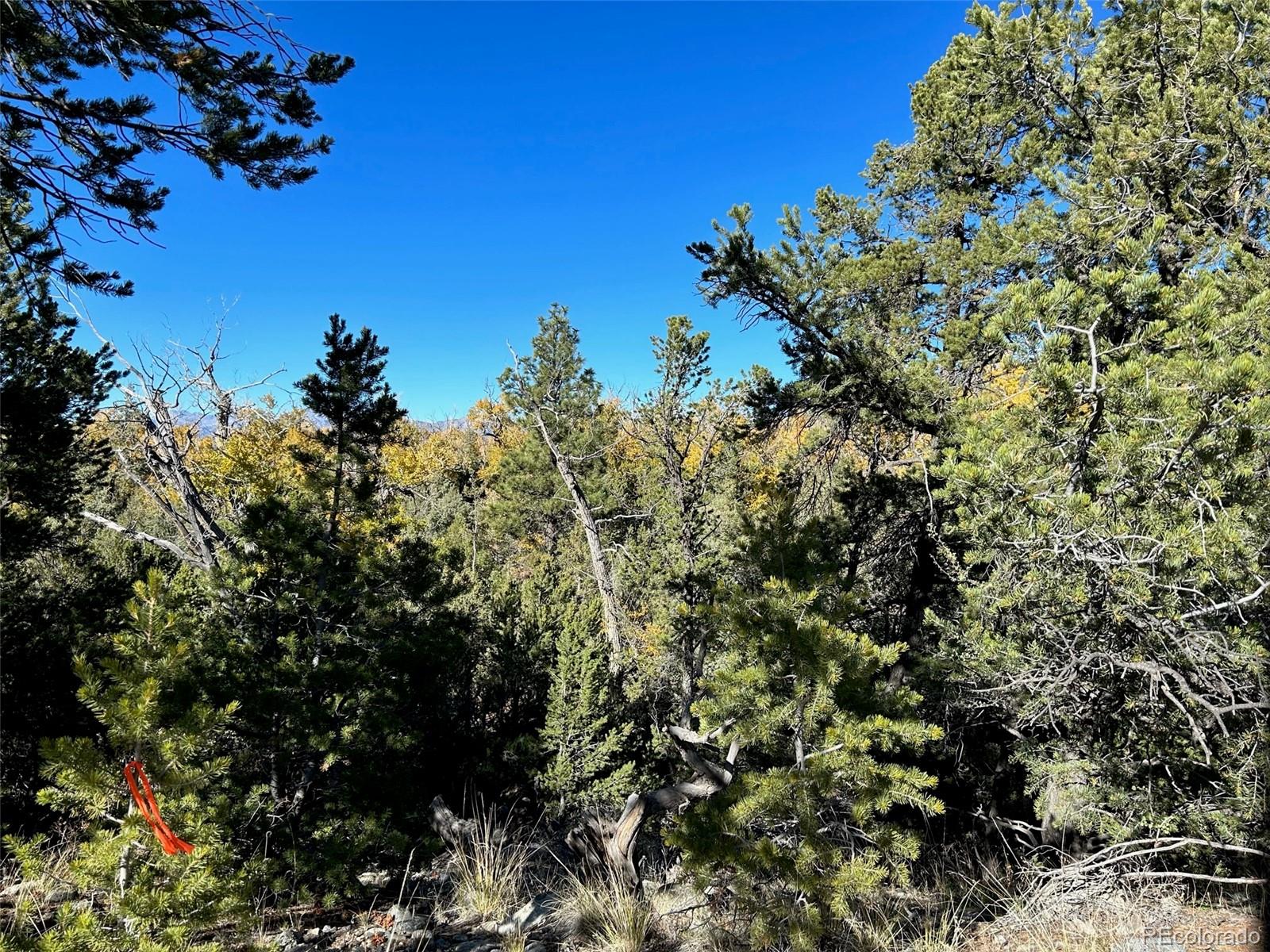 124 Indian Hill Road Mosca CO 81146