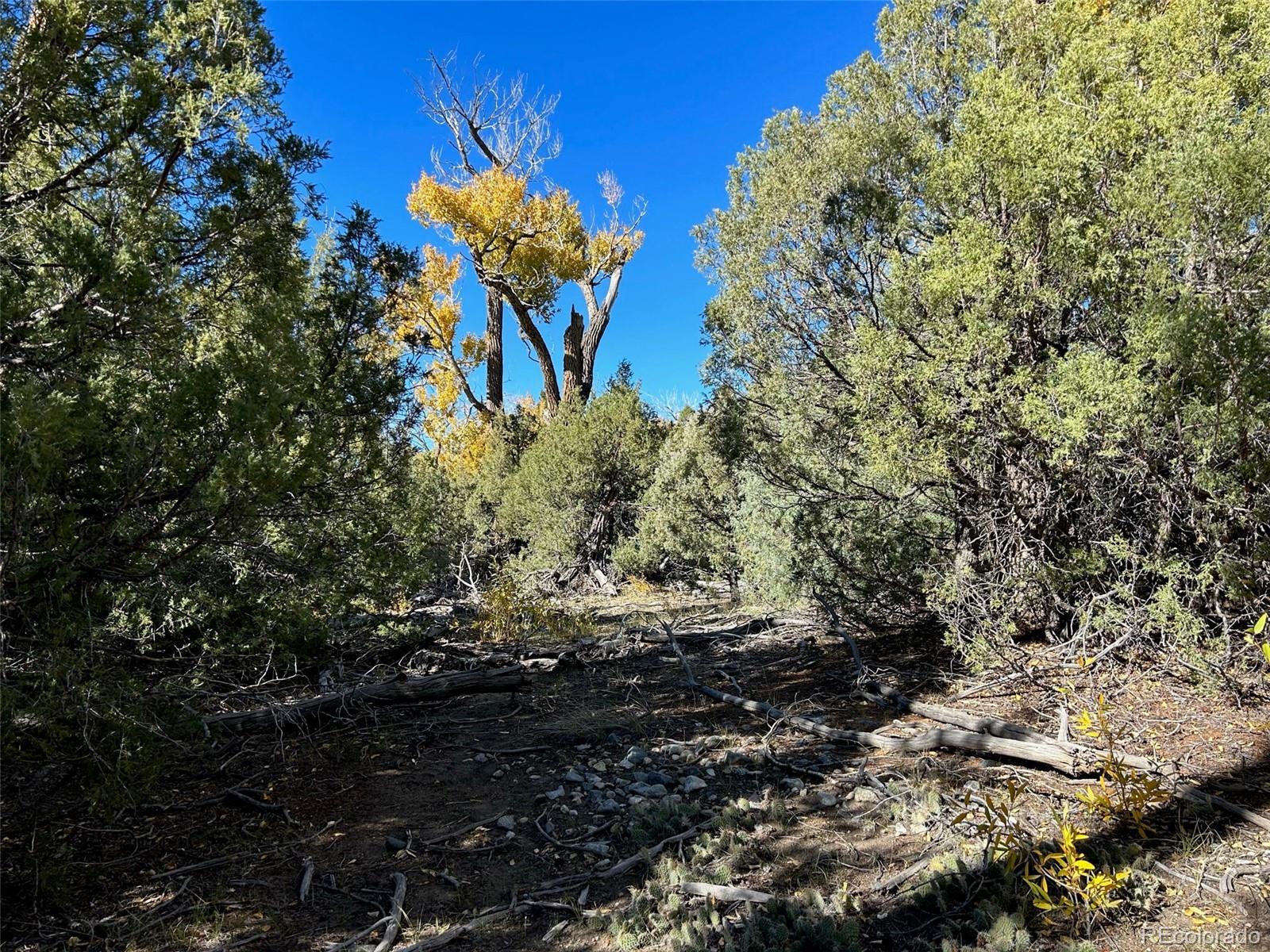 124 Indian Hill Road Mosca CO 81146