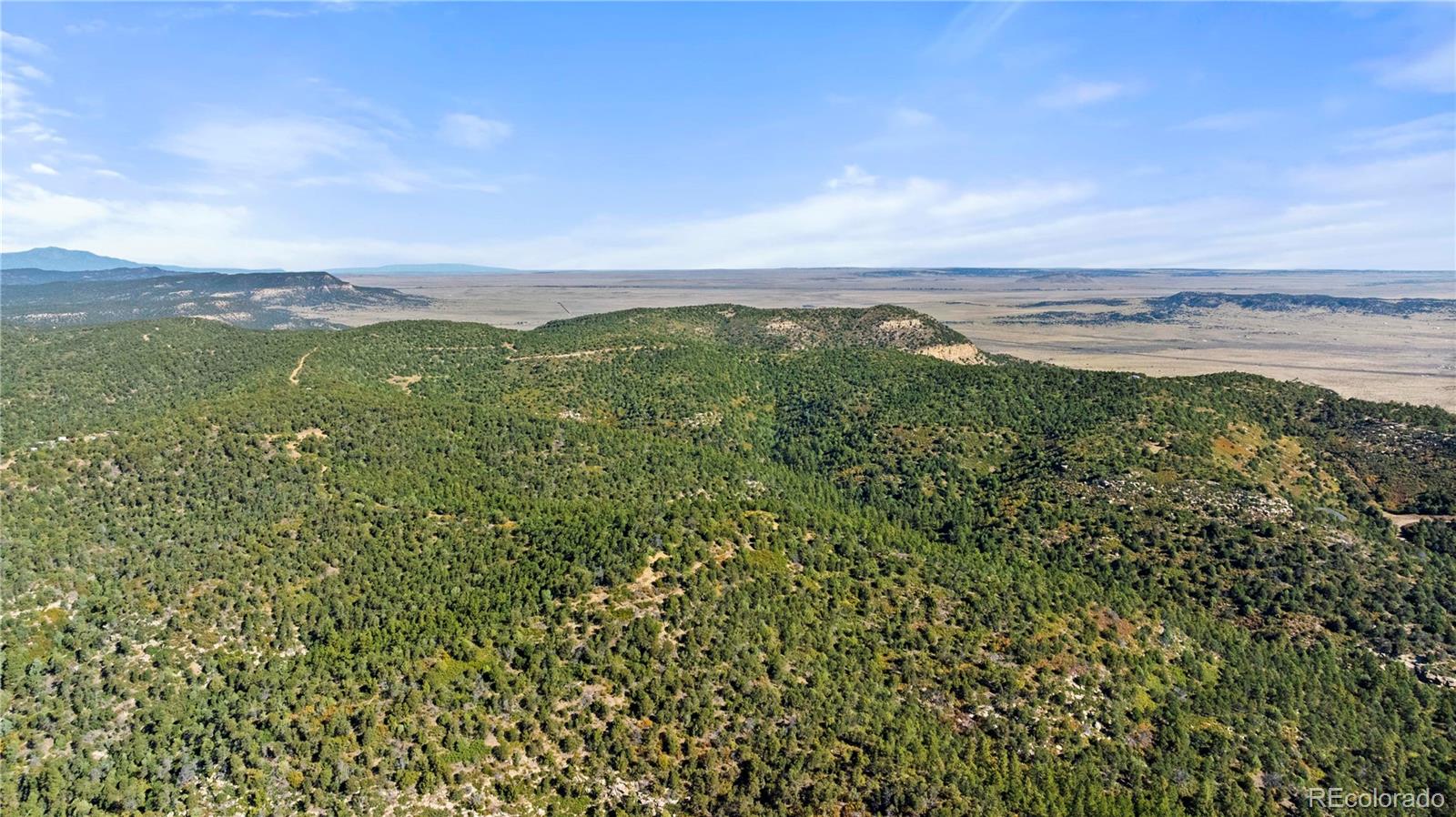 Lots L, M, N, O Tollerburg Road Trinidad CO 81082