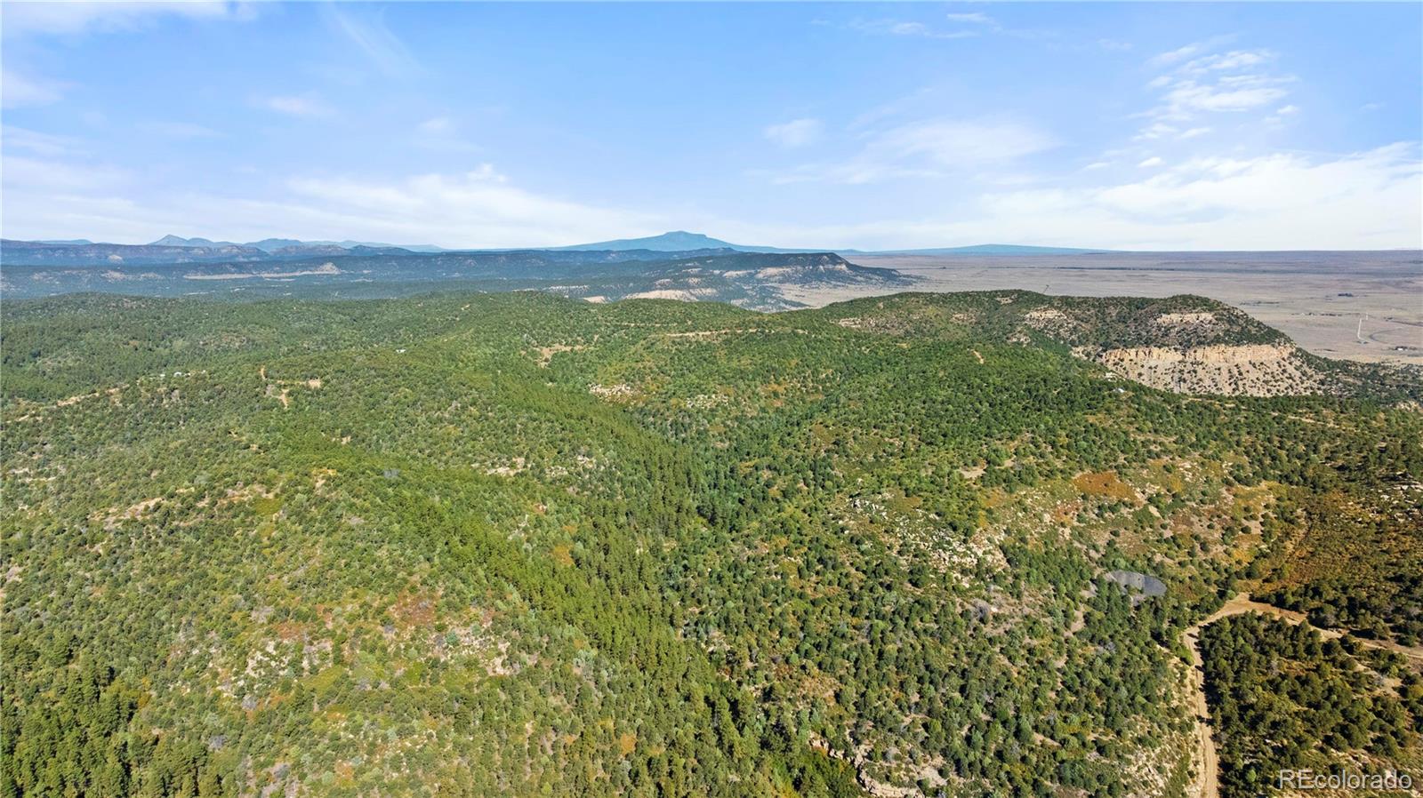 Lots L, M, N, O Tollerburg Road Trinidad CO 81082