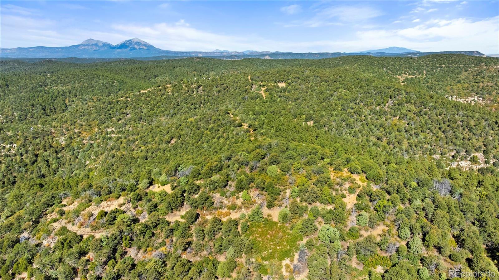 Lots L, M, N, O Tollerburg Road Trinidad CO 81082