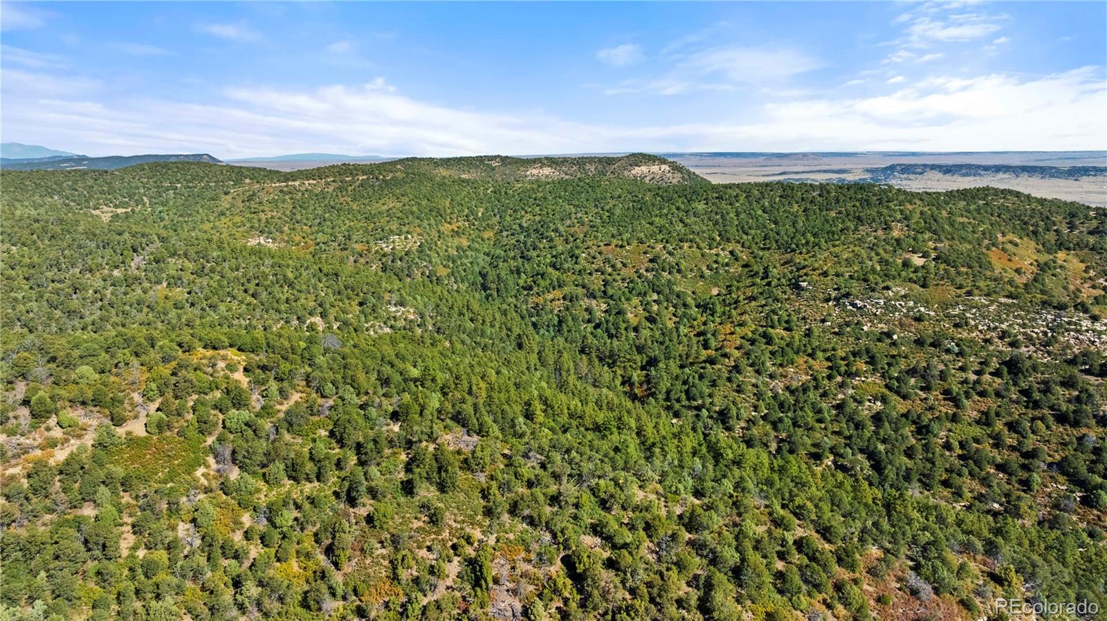 Lots L, M, N, O Tollerburg Road Trinidad CO 81082