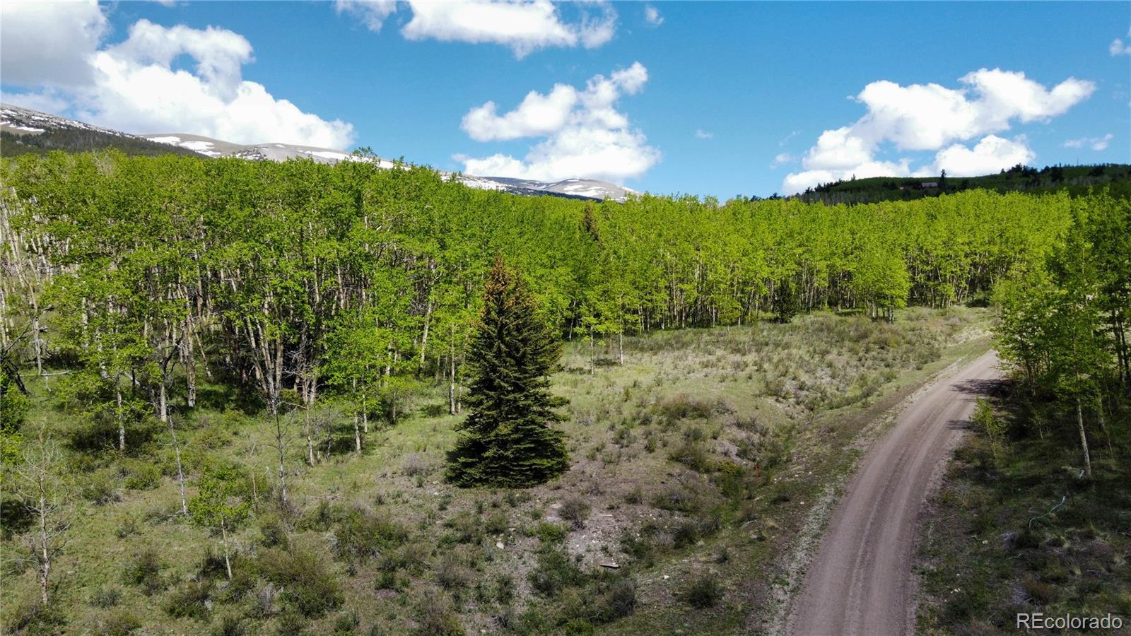 63 Pine Ridge Road Fairplay CO 80440