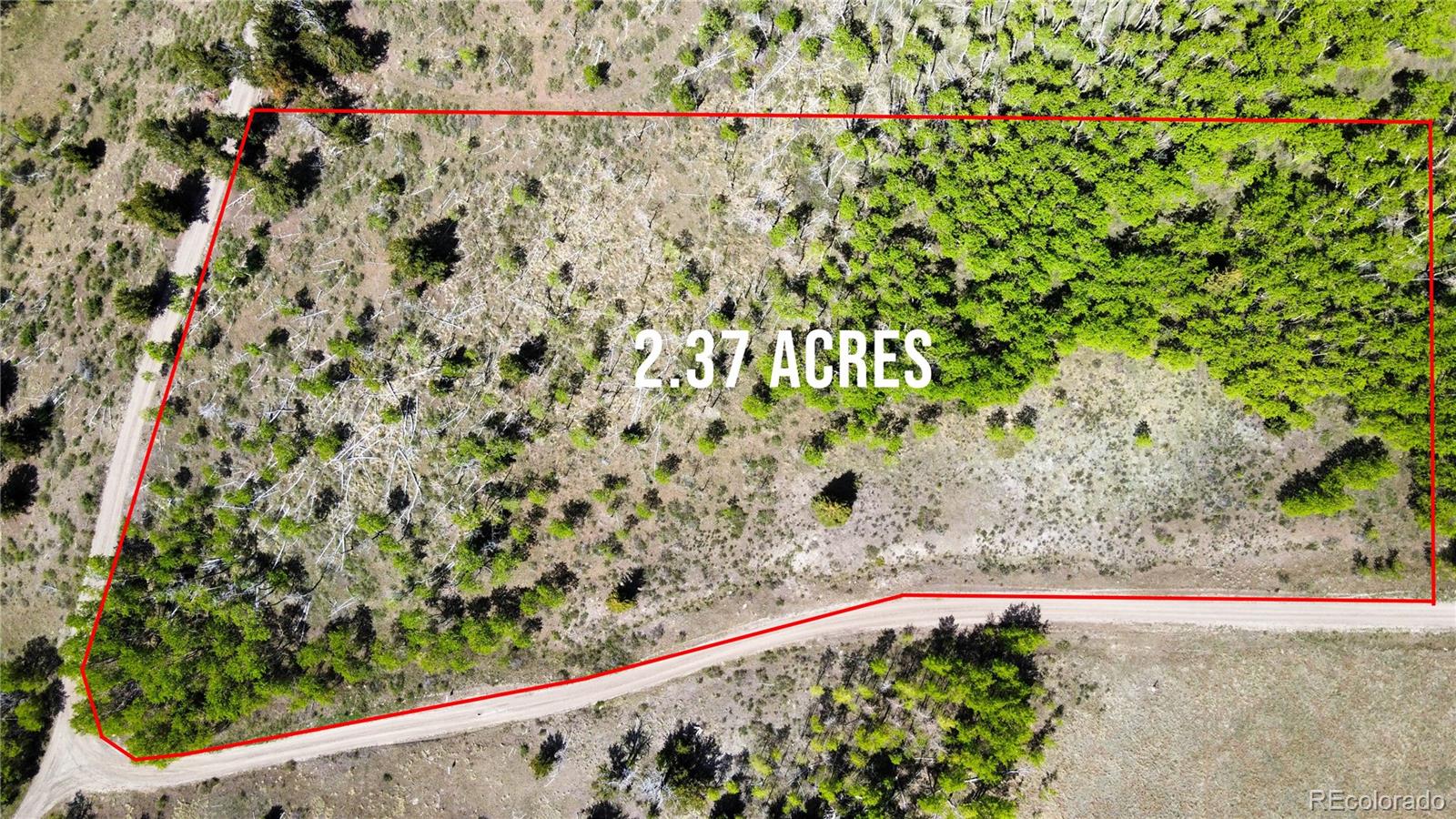 63 Pine Ridge Road Fairplay CO 80440