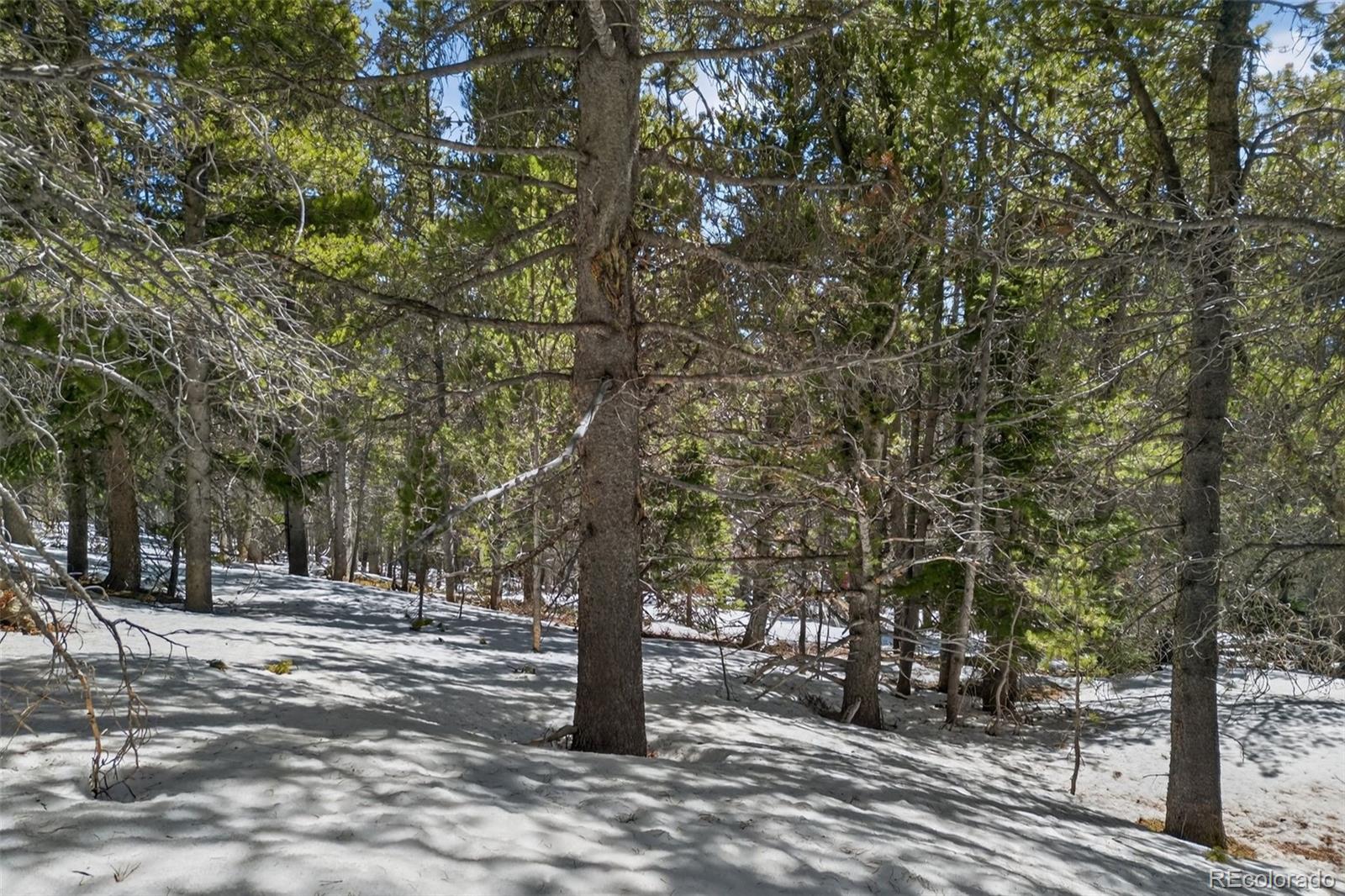 Lot 846 Lincoln Drive Idaho Springs CO 80452