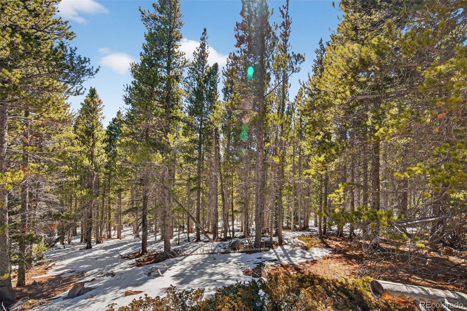 Lot 846 Lincoln Drive Idaho Springs CO 80452