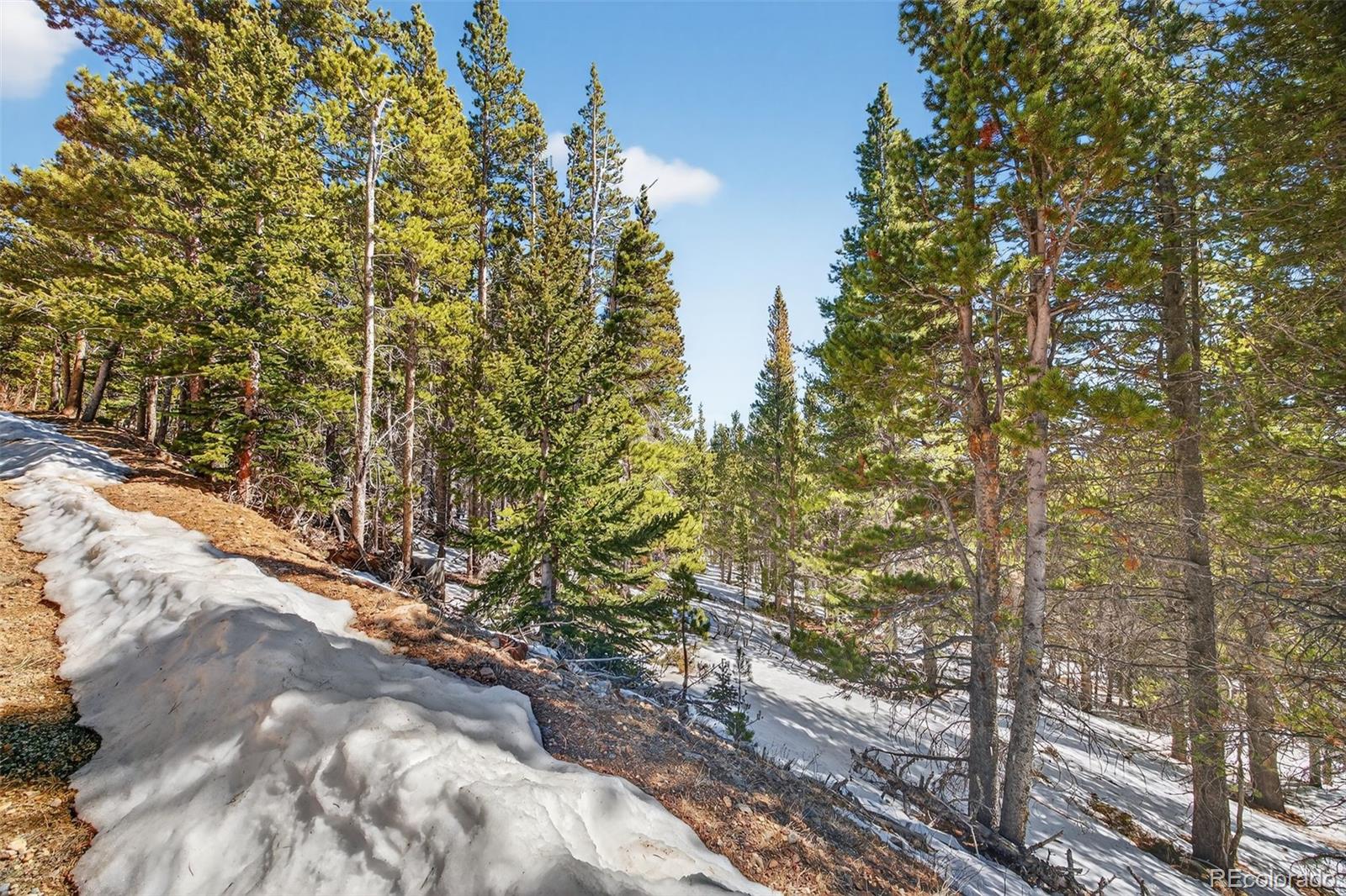 Lot 846 Lincoln Drive Idaho Springs CO 80452