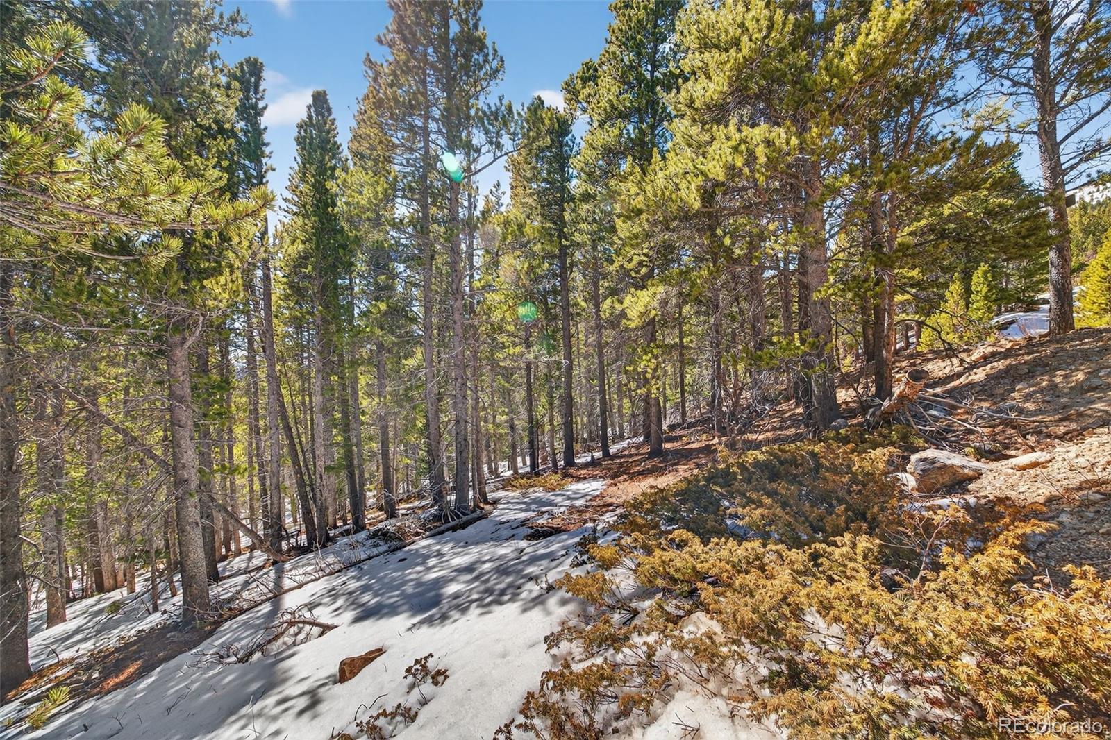 Lot 846 Lincoln Drive Idaho Springs CO 80452