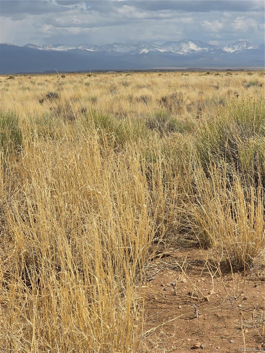 Lot 17 E Denver Road Blanca CO 81123