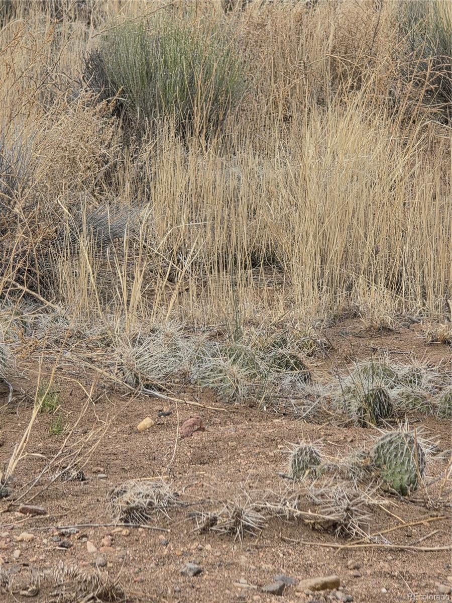 Lot 17 E Denver Road Blanca CO 81123