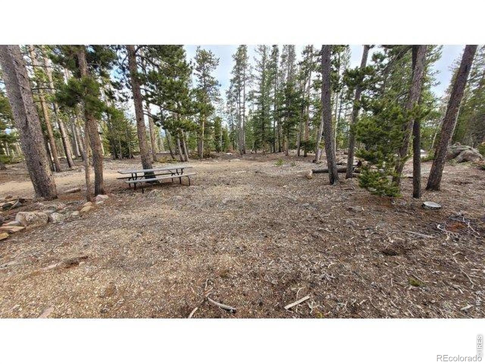 1421 Jicarilla Trail Red Feather Lakes CO 80545