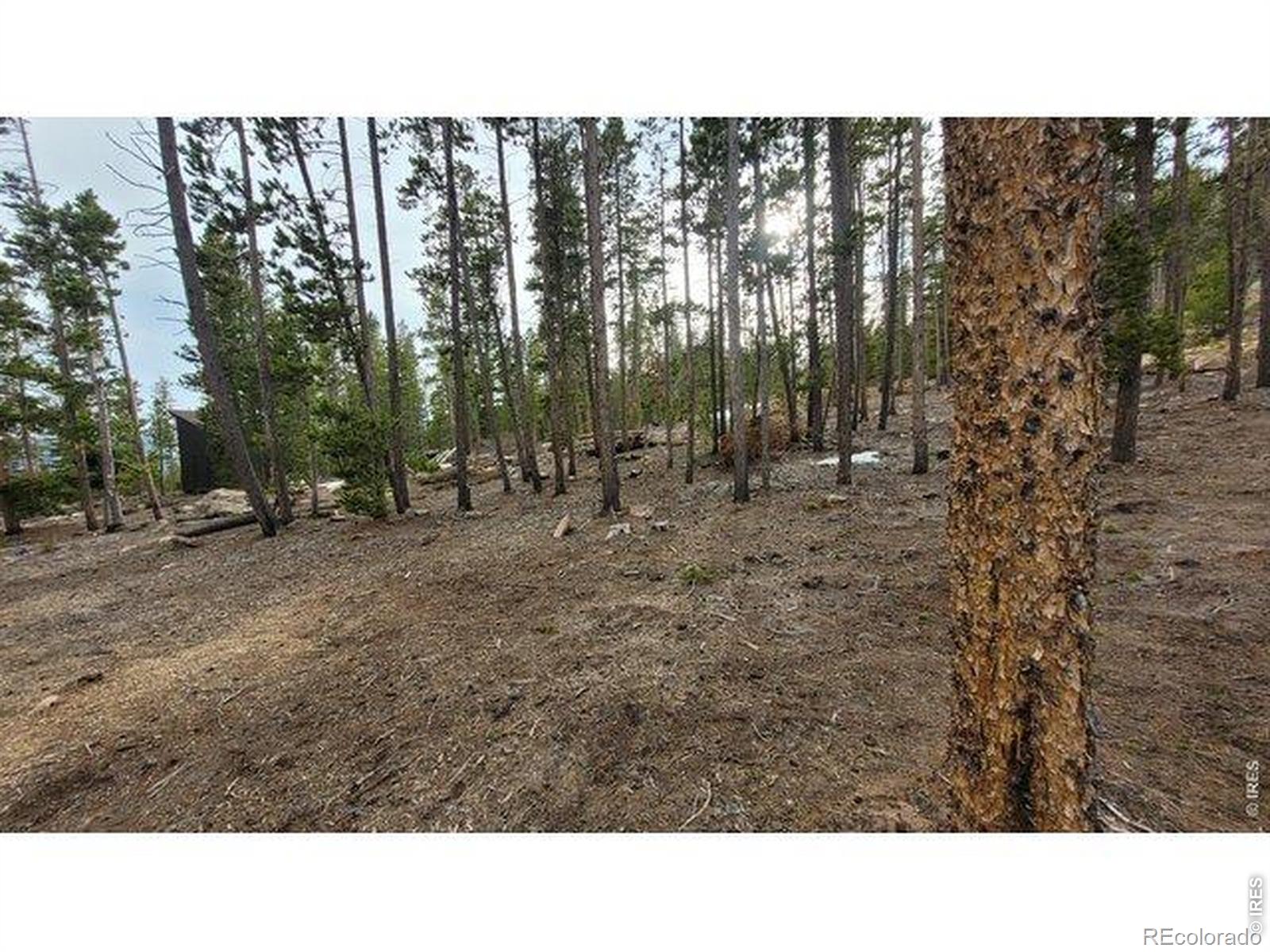 1421 Jicarilla Trail Red Feather Lakes CO 80545