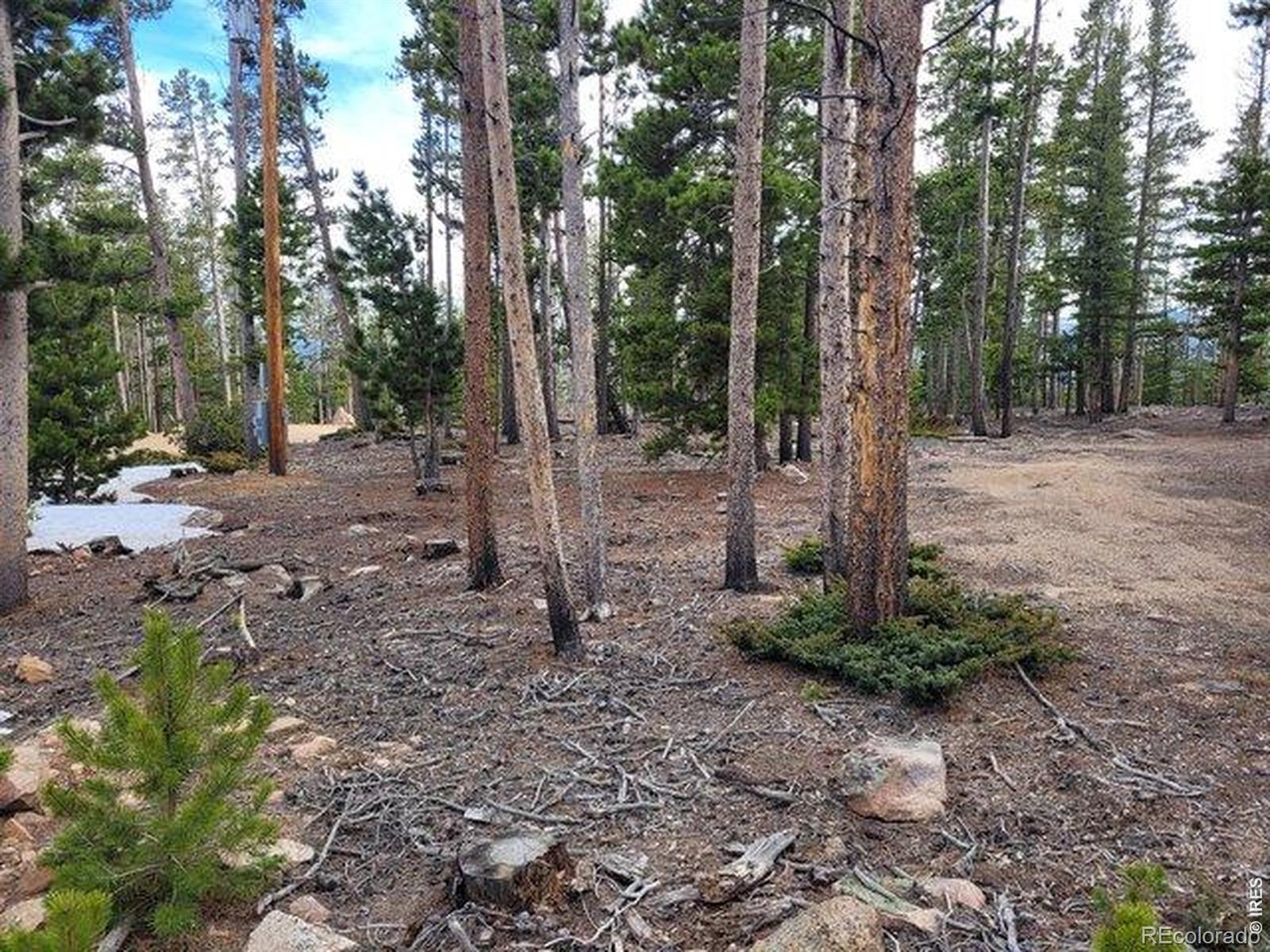1421 Jicarilla Trail Red Feather Lakes CO 80545
