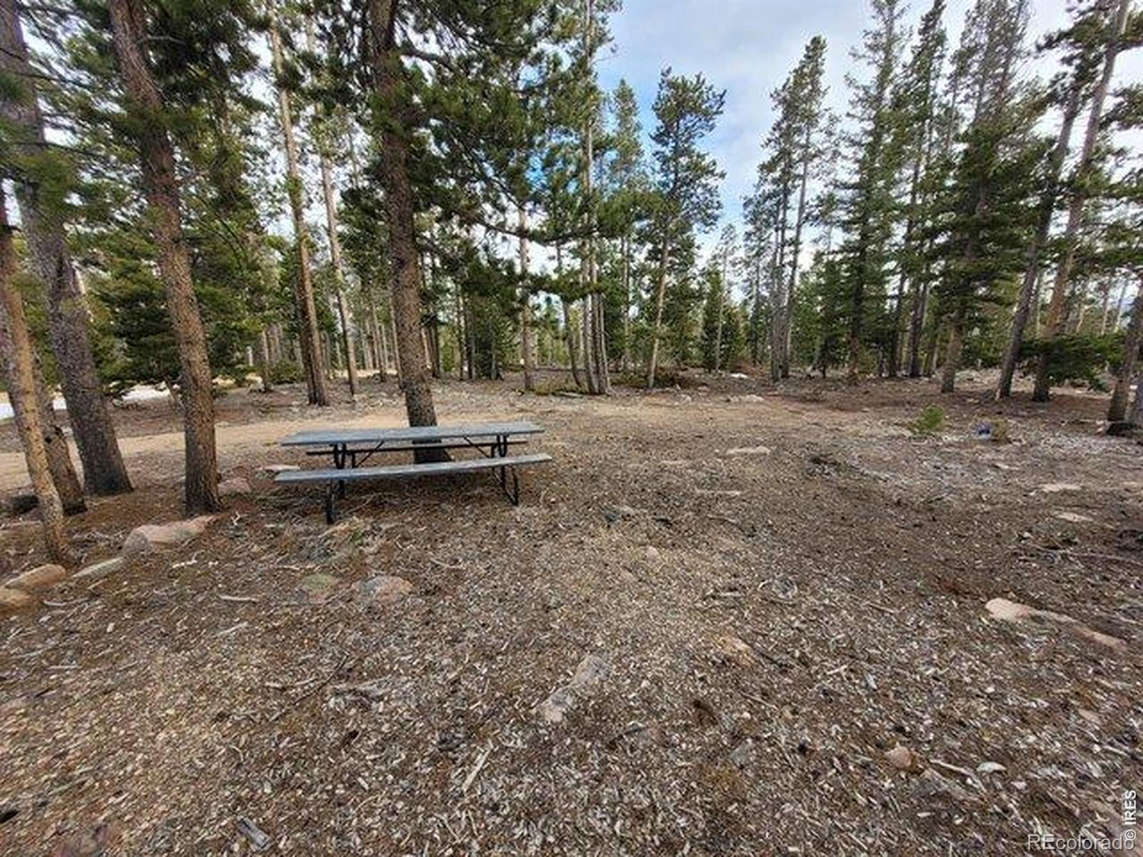 1421 Jicarilla Trail Red Feather Lakes CO 80545
