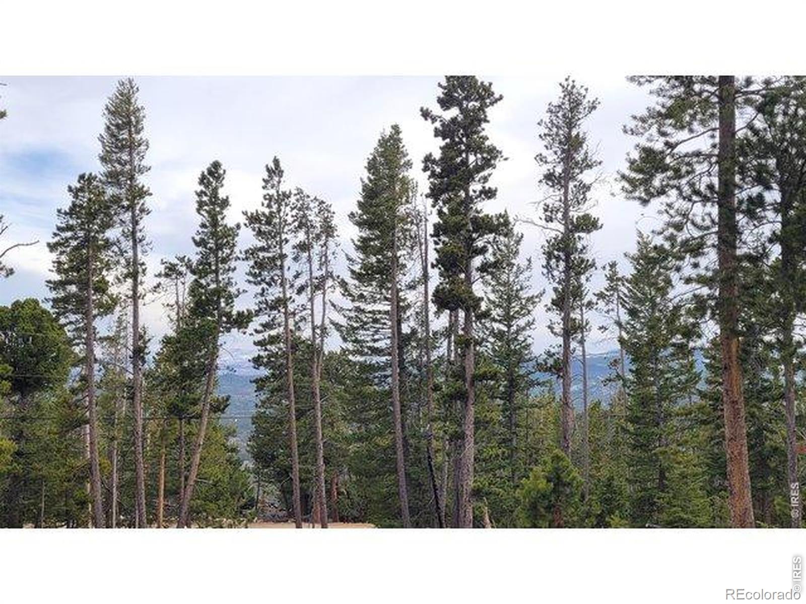 1421 Jicarilla Trail Red Feather Lakes CO 80545