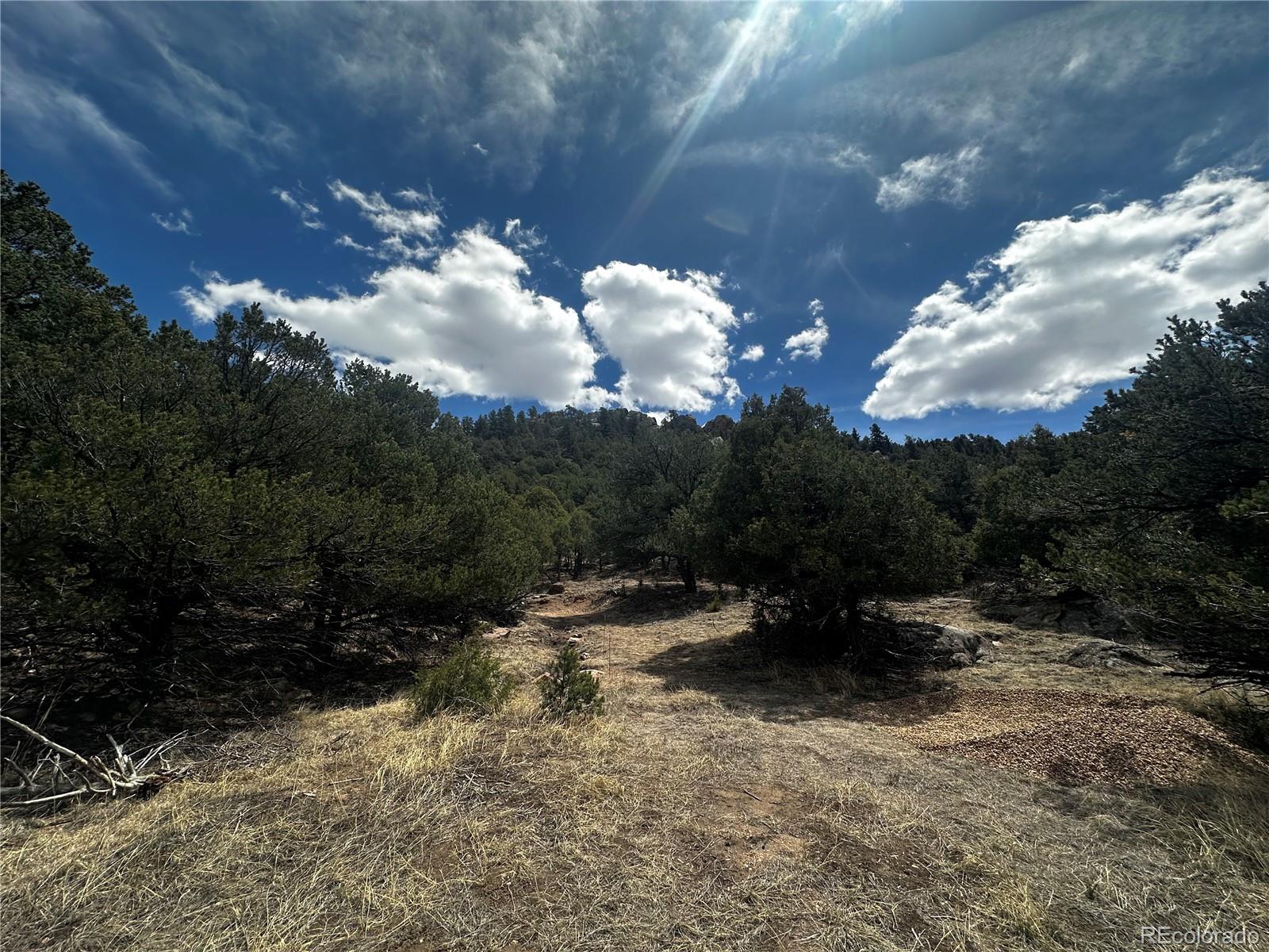 938 Shoshone Drive Canon City CO 81212