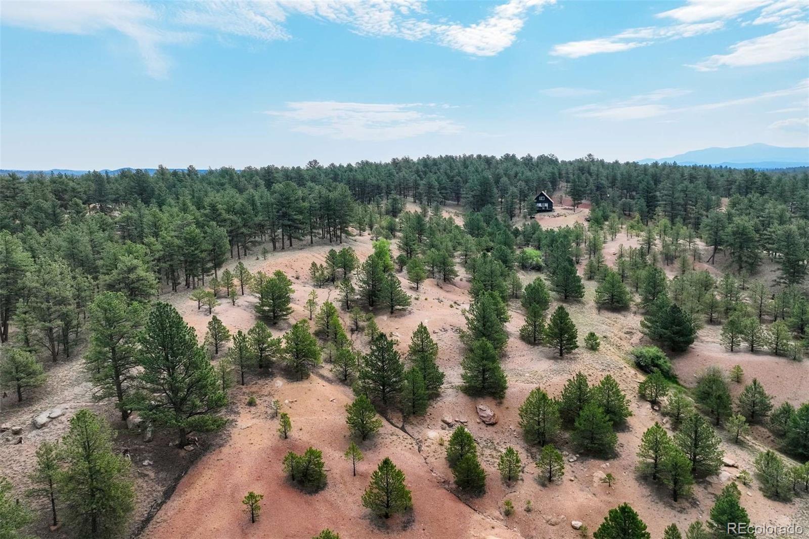 39 Reed Drive Florissant CO 80816