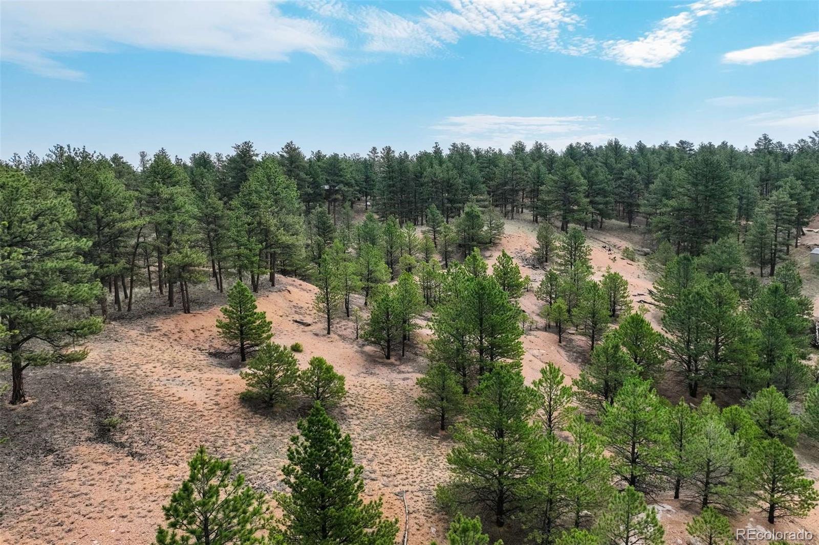 39 Reed Drive Florissant CO 80816