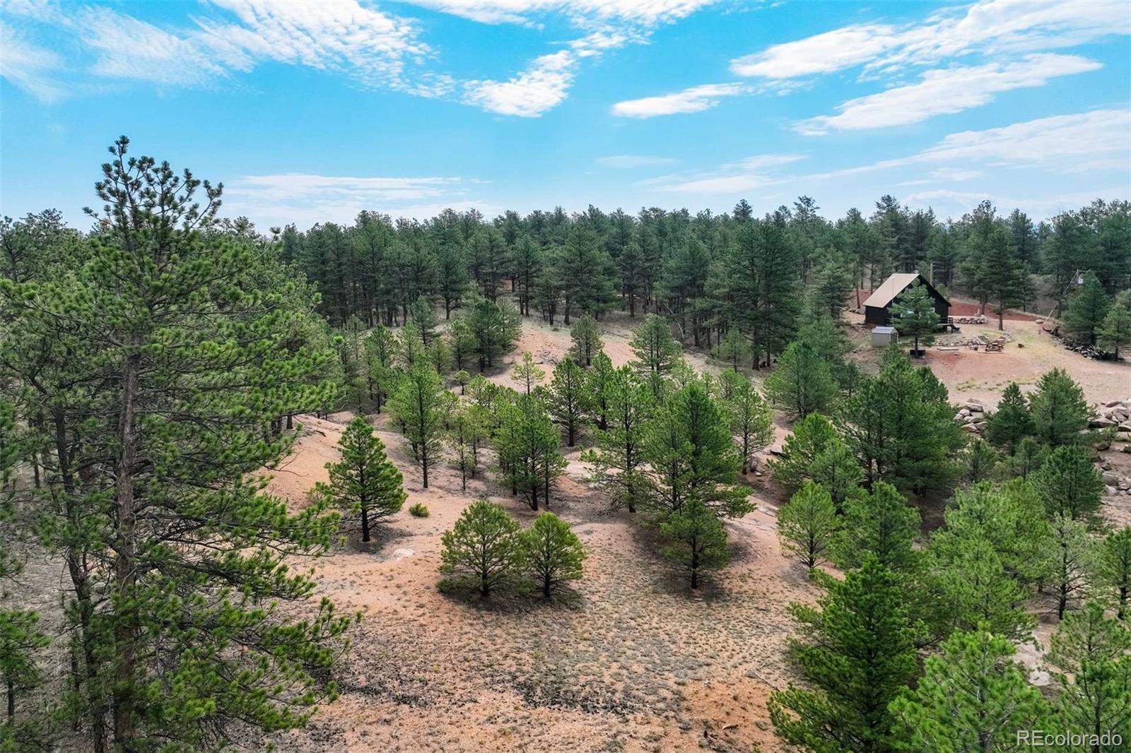 39 Reed Drive Florissant CO 80816