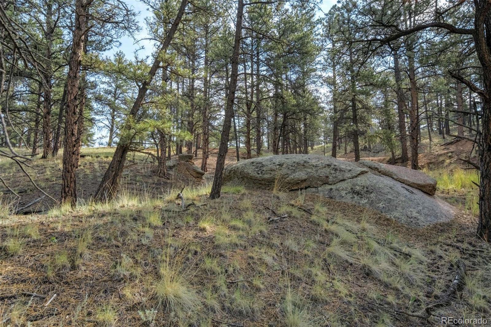 39 Reed Drive Florissant CO 80816