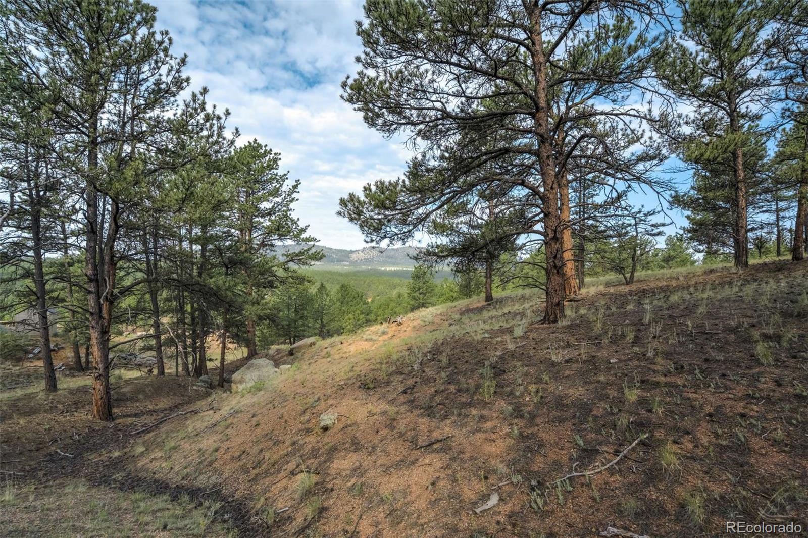 39 Reed Drive Florissant CO 80816