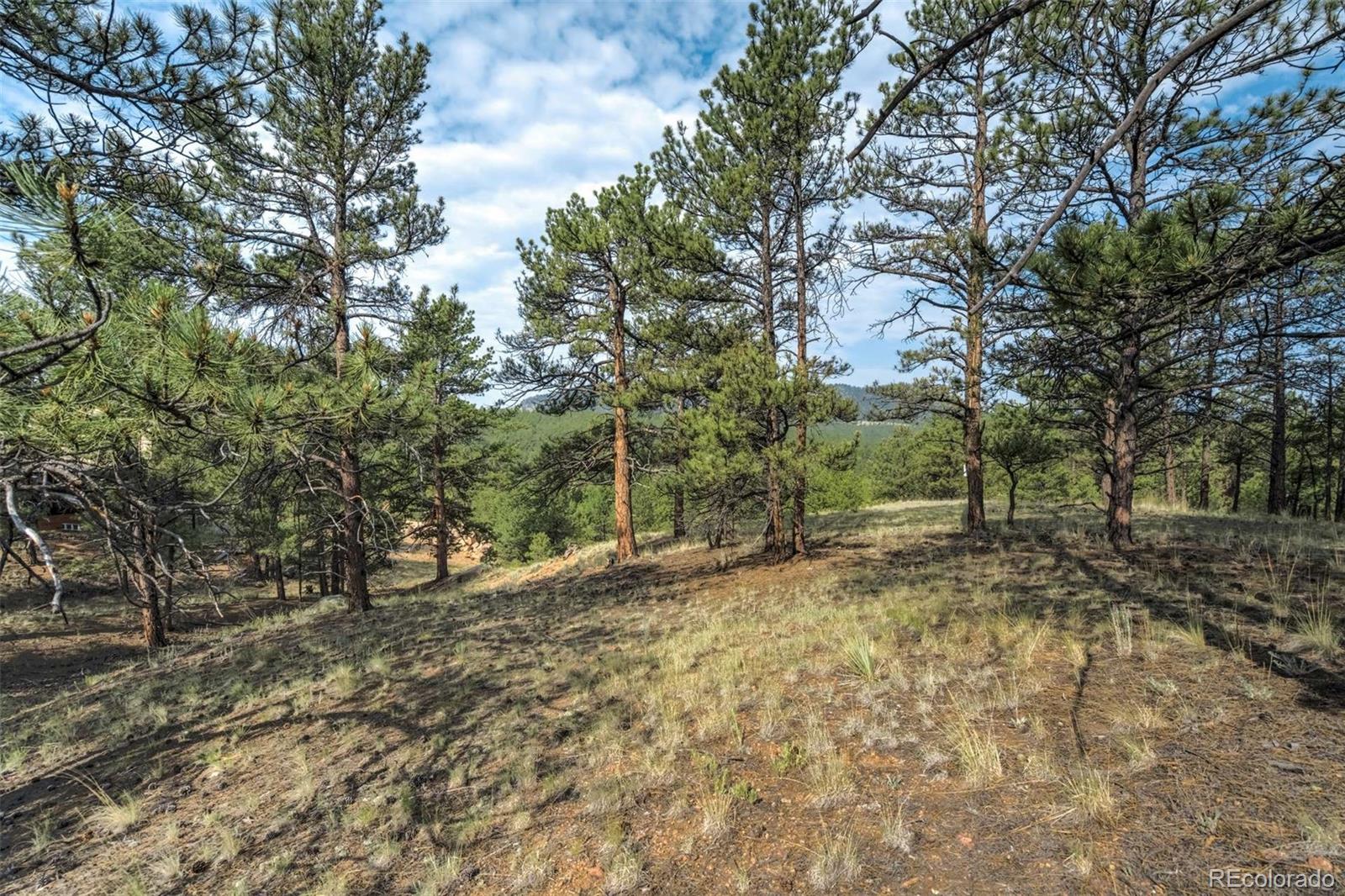 39 Reed Drive Florissant CO 80816