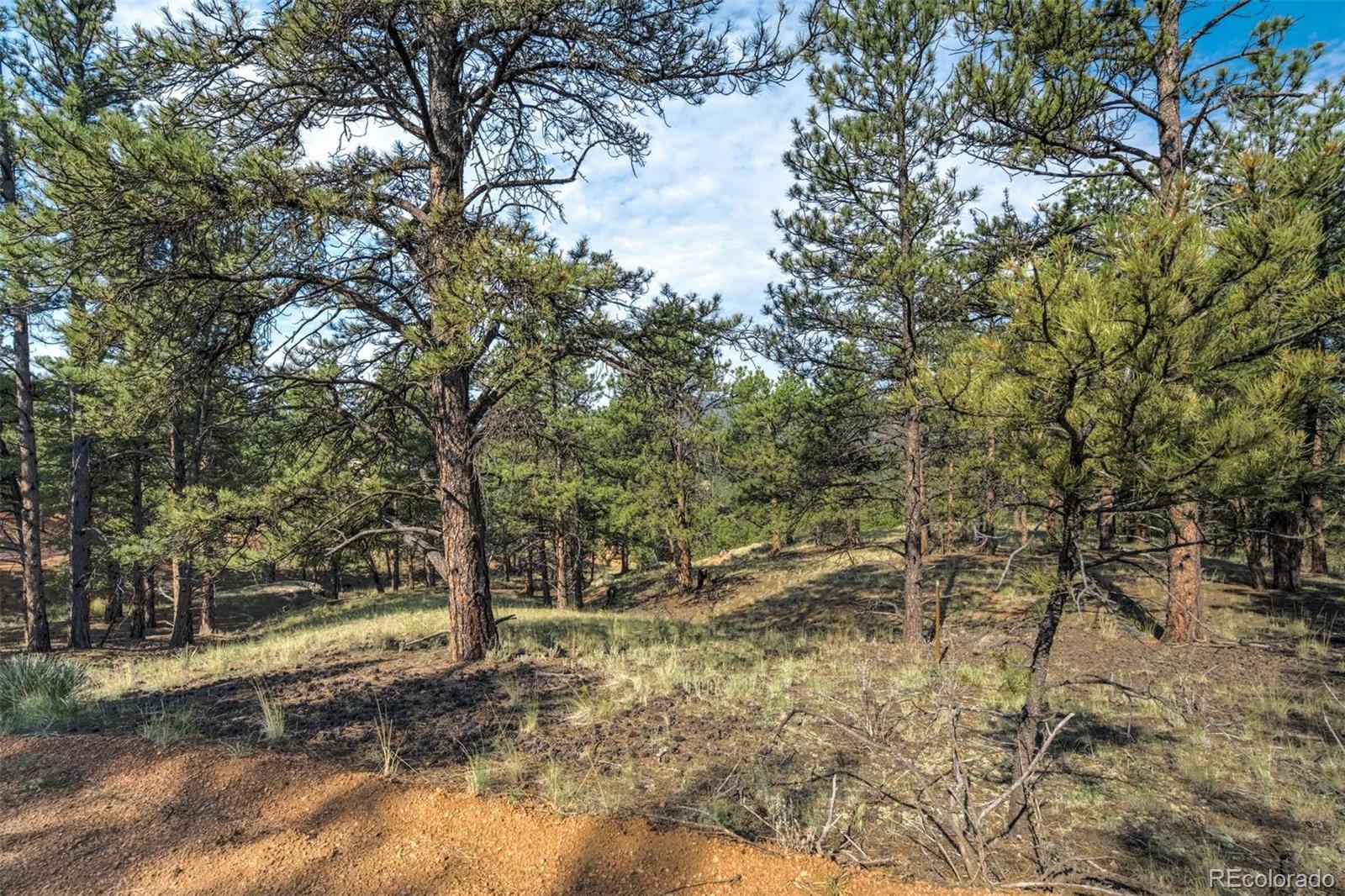 39 Reed Drive Florissant CO 80816